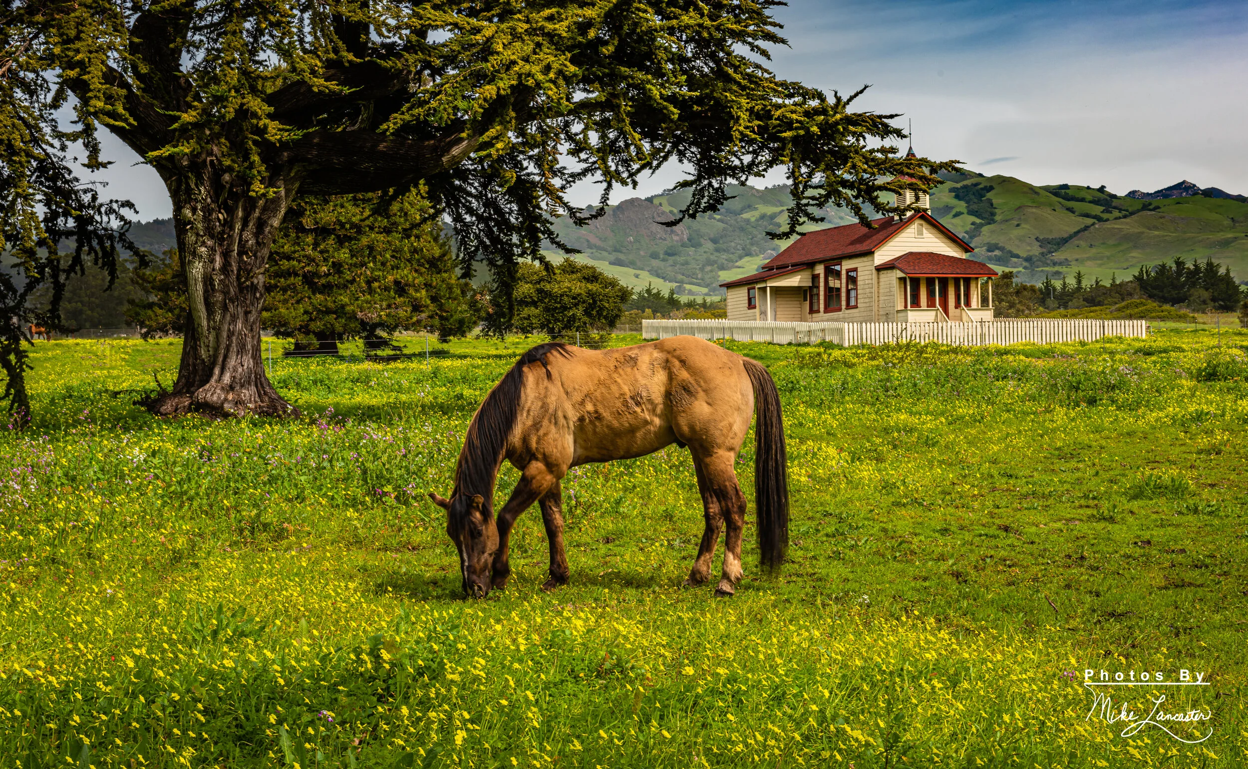 Hearst Ranch, San Simeon, CA