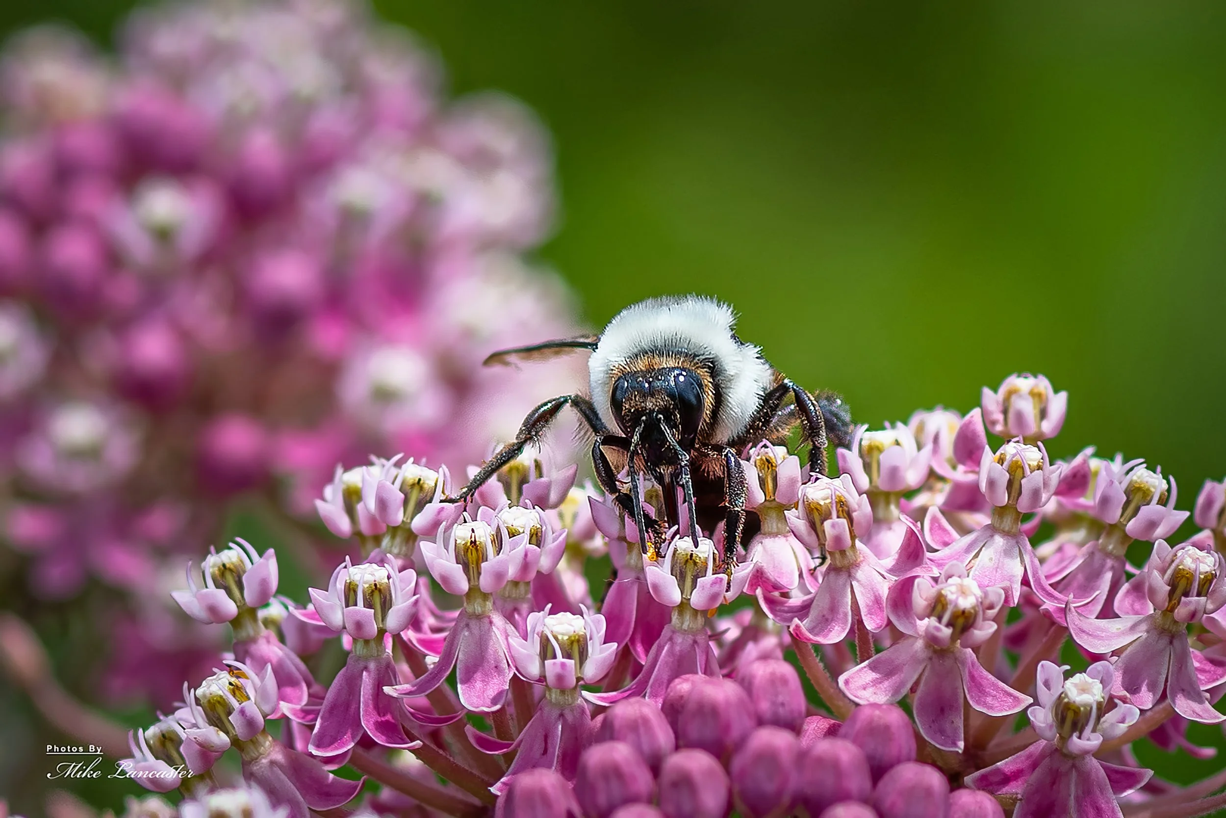 148 copy 2-topaz-enhance.jpeg