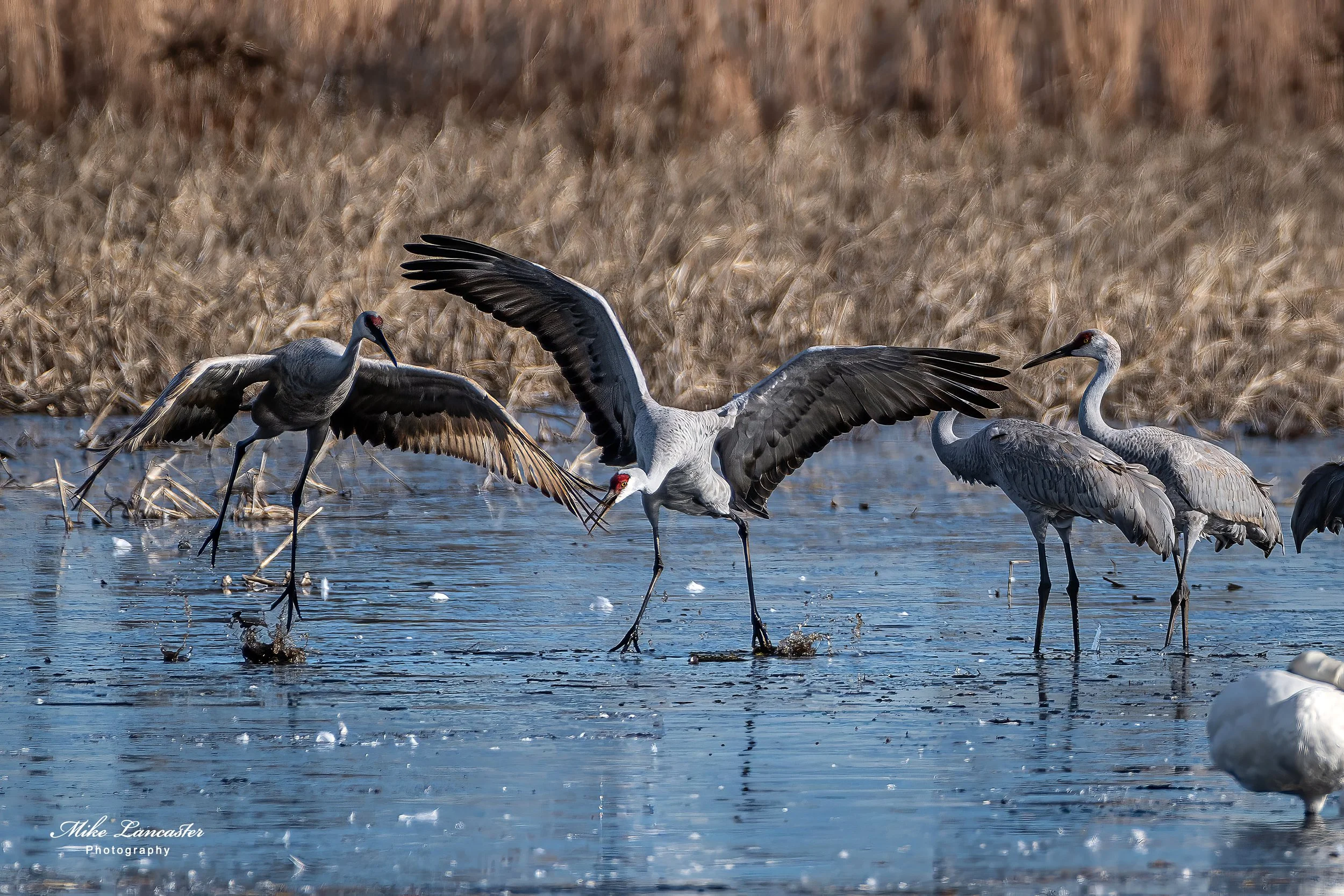 149-topaz-sharpen-denoise-upscale-2x copy.jpg