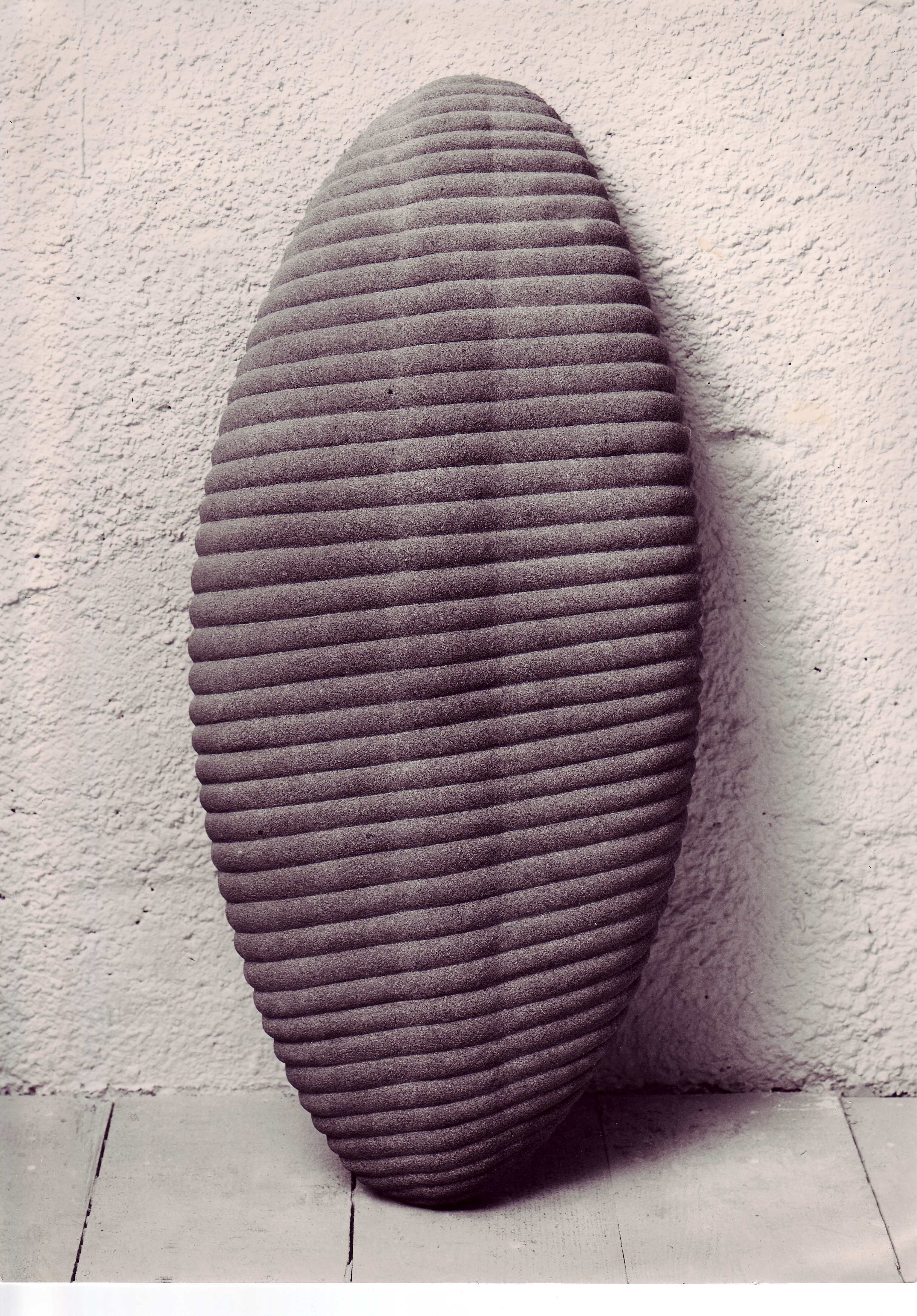 Muschelschild Sanstein 1982