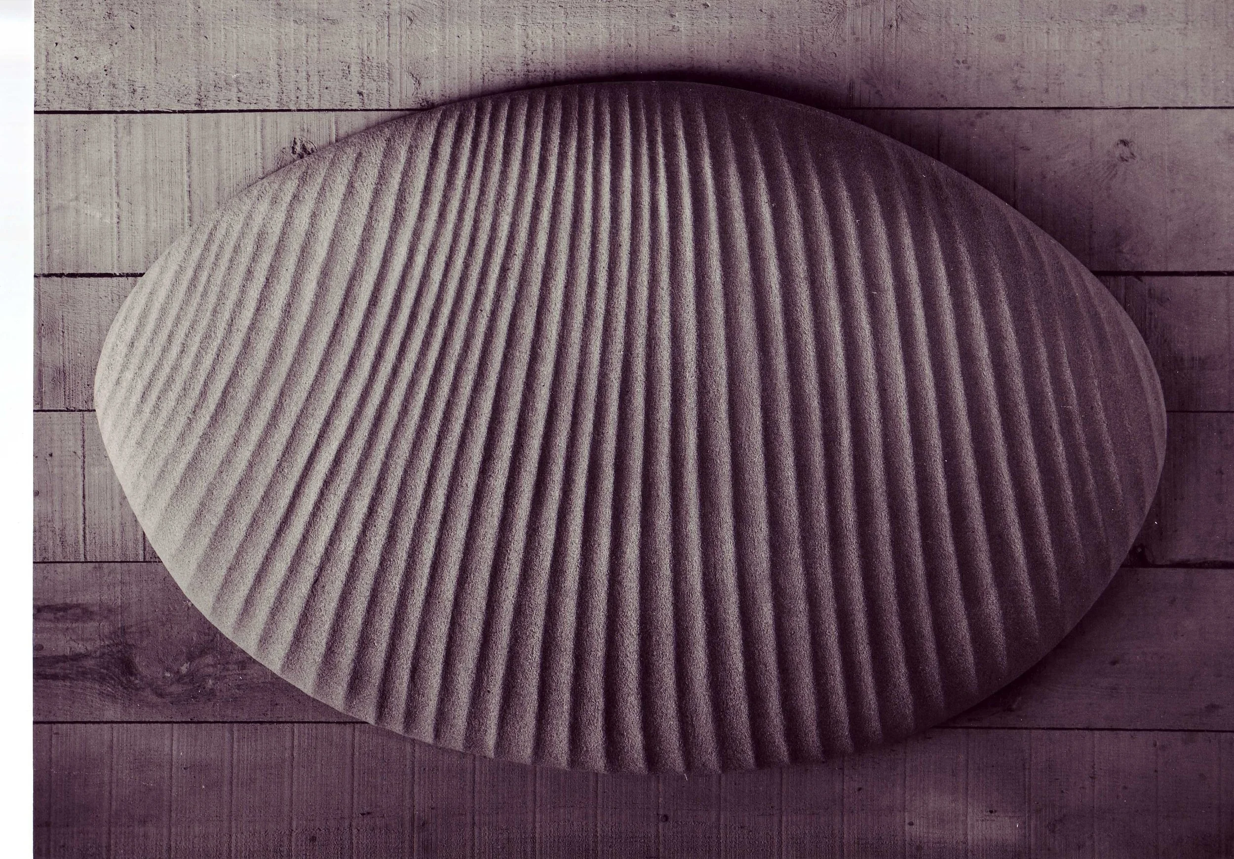 Muschelschild Sandstein 1981