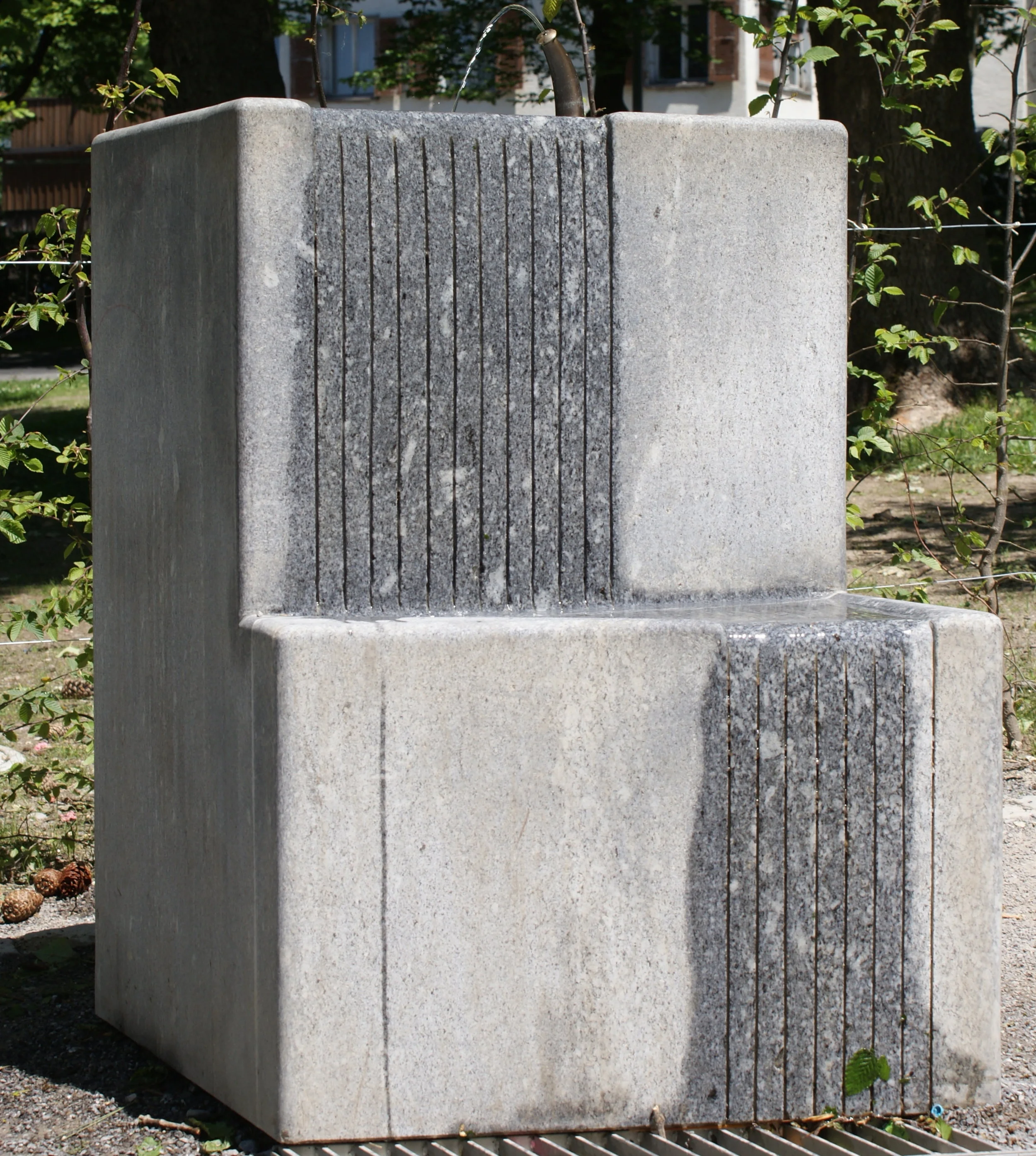 St. Gallen Hardauwäldli 2008 