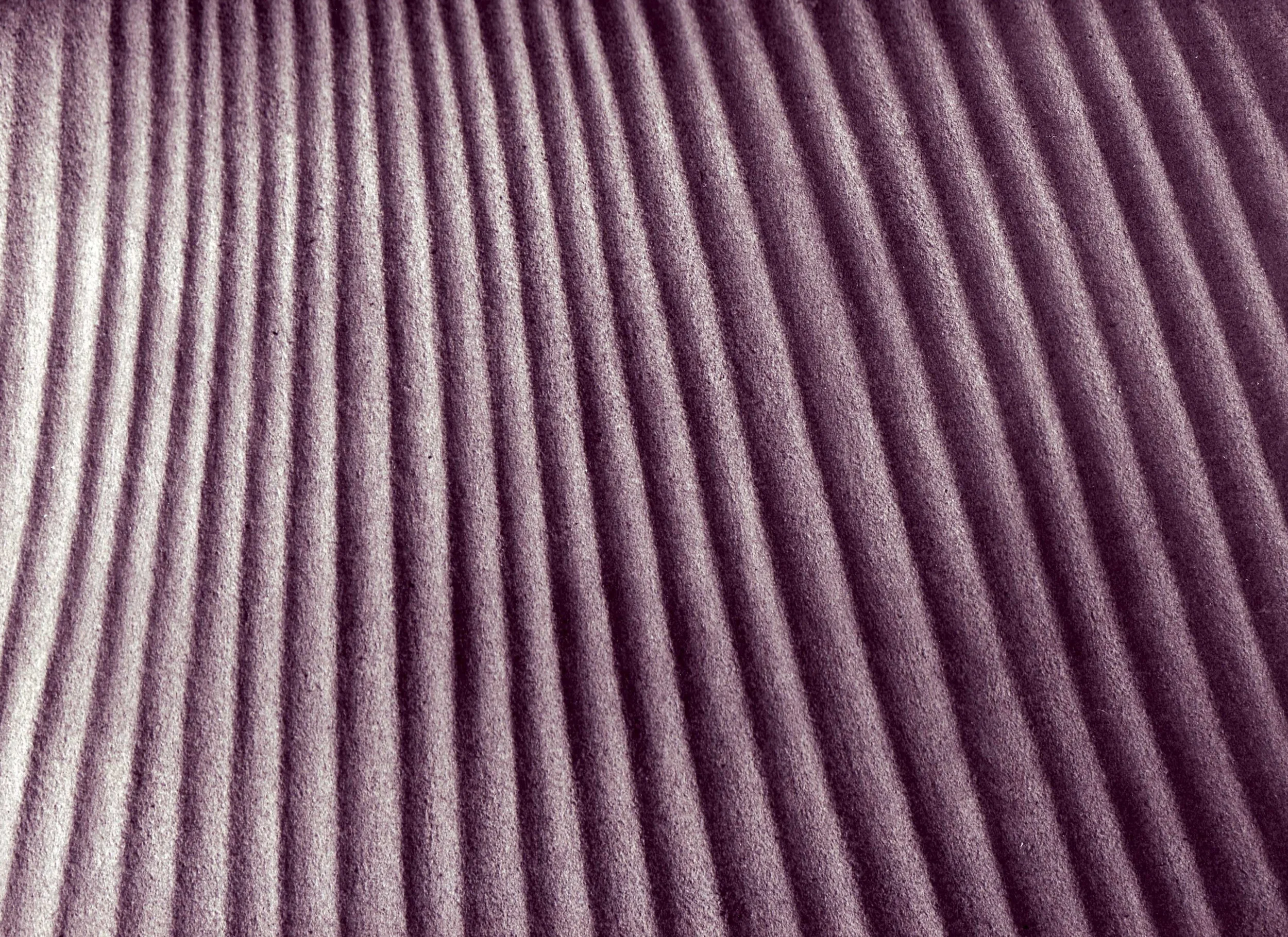 Muschelschild Sandstein 1981 Ausschnit