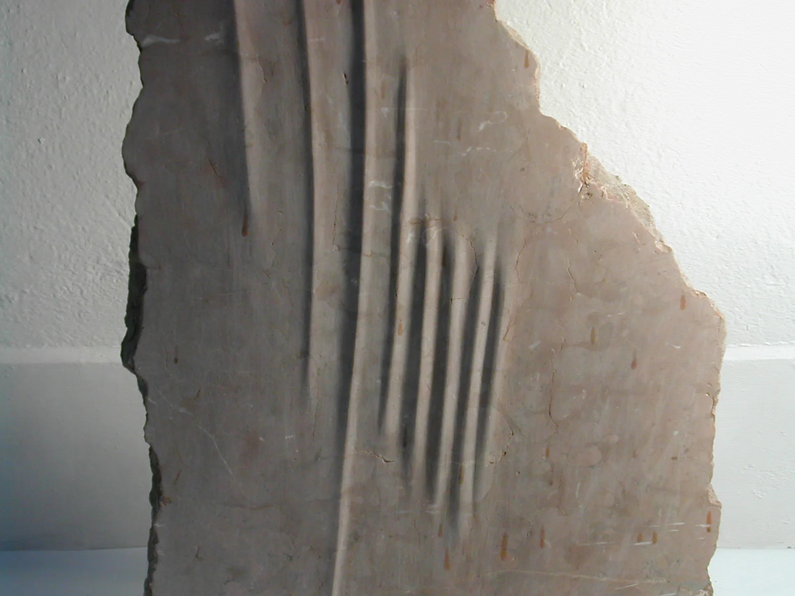 Spuren Kalkstein 1990