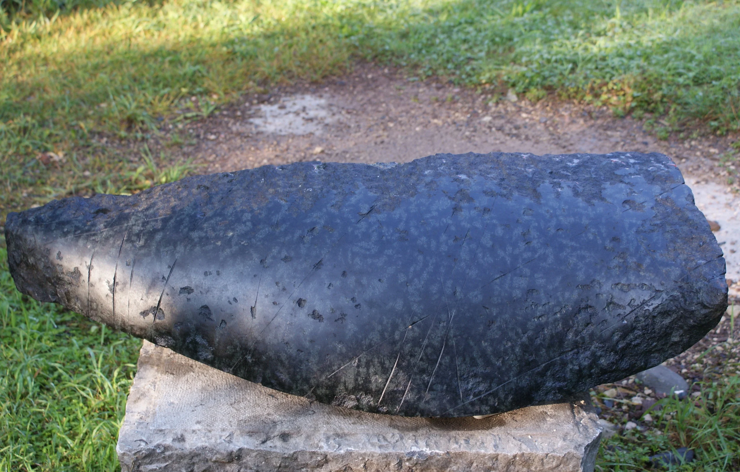 Steinvogel, Diabas 2013