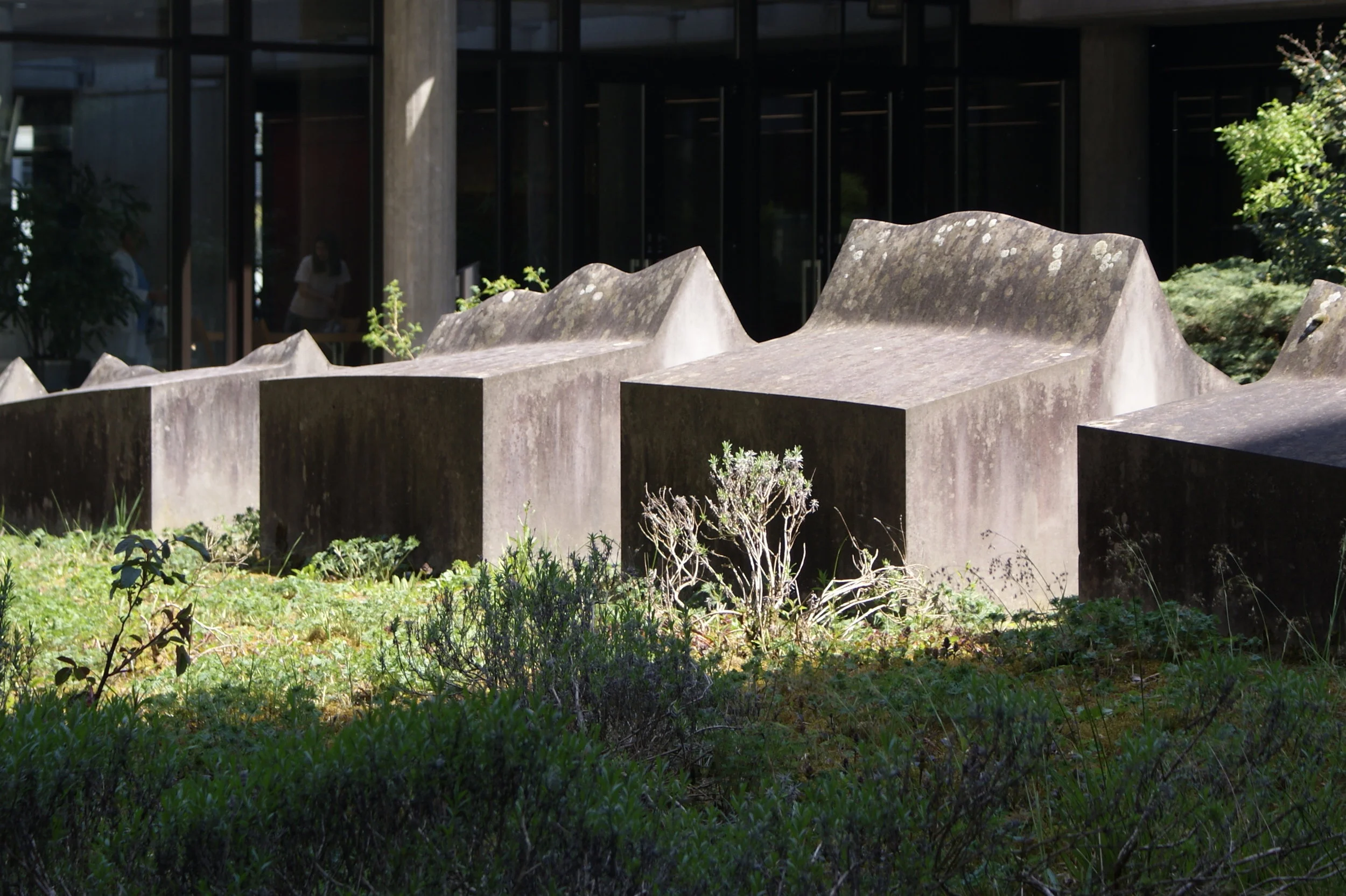 Uni Irchel Zürich, Medizinhof 1981