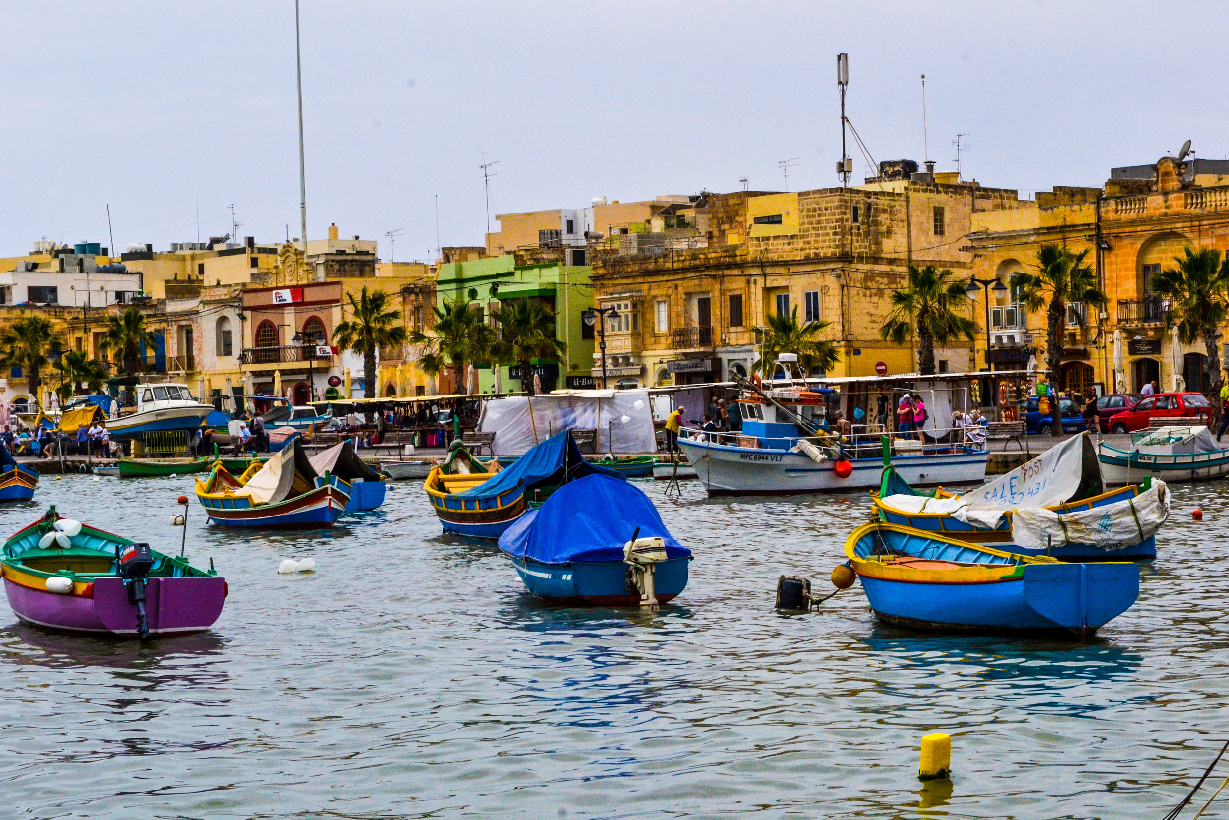 DSC_0605.jpg