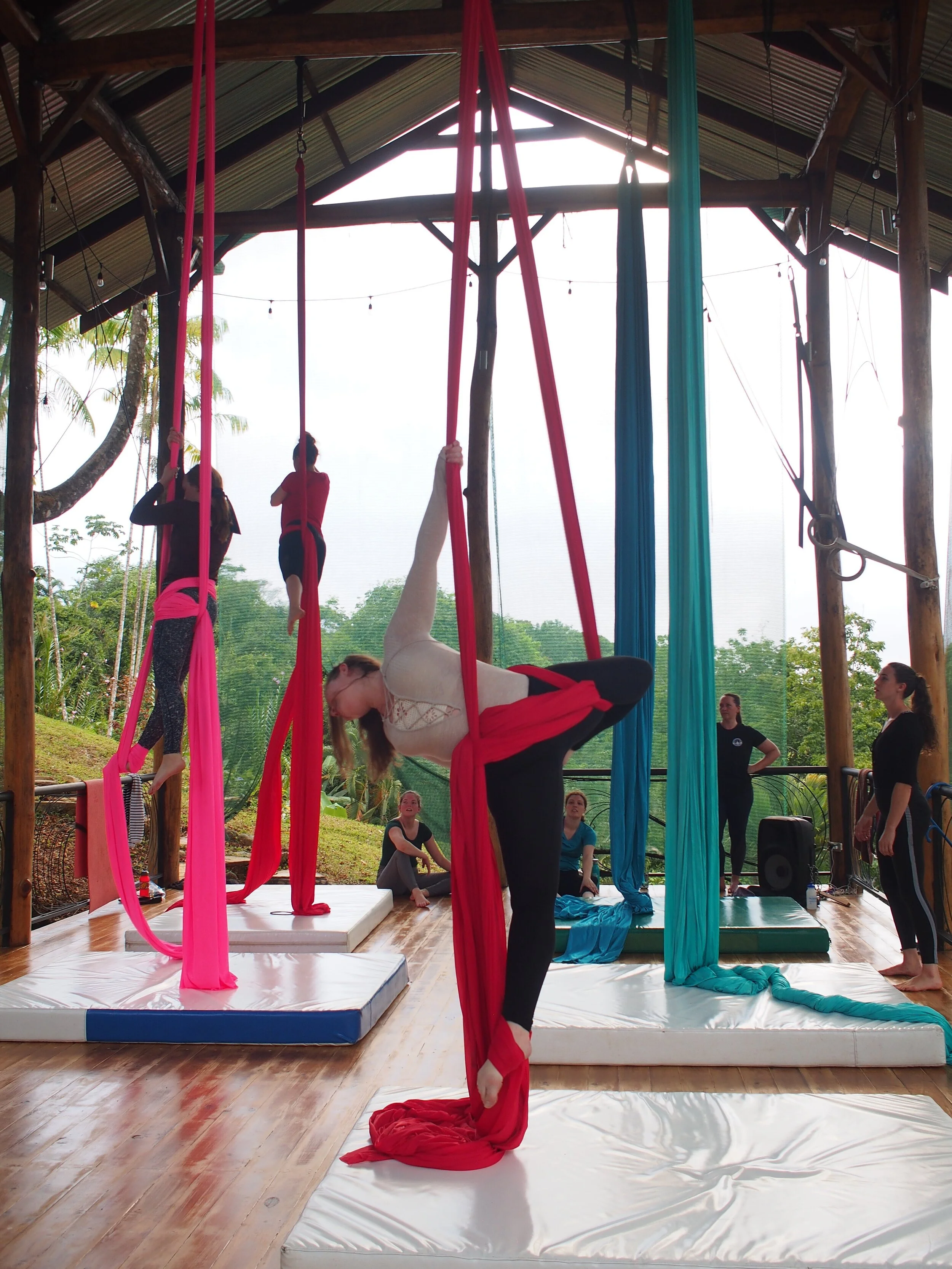 Flying high: Learning aerial circus arts