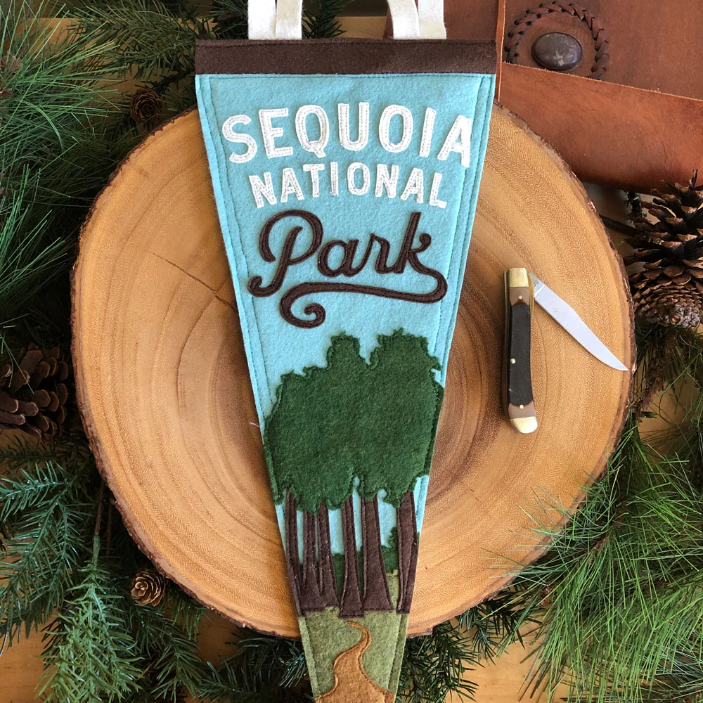 YohoCoPennantsSequoiaNationalParkRobinsEggBlue.jpg