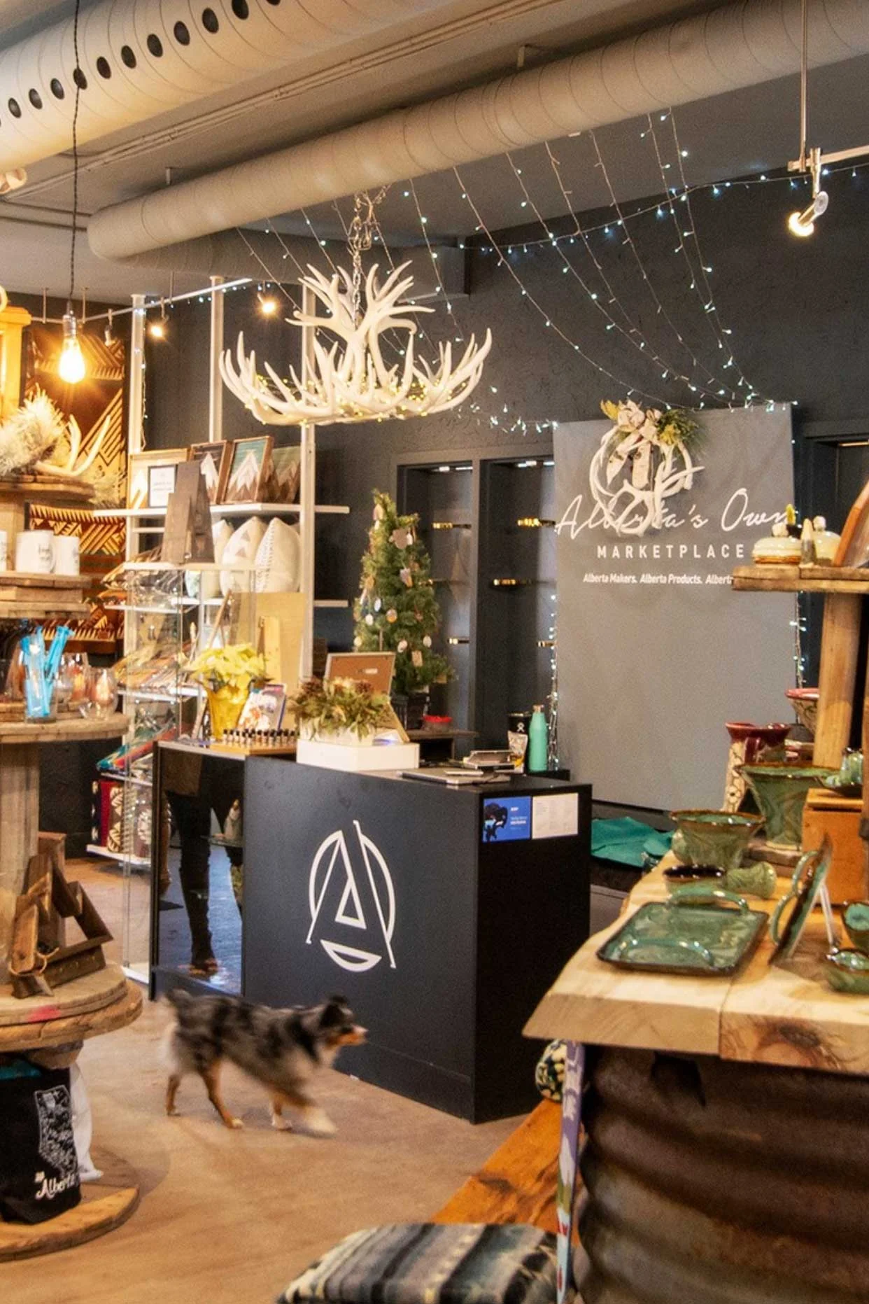 You’ll love the vibes at Alberta’s Own.