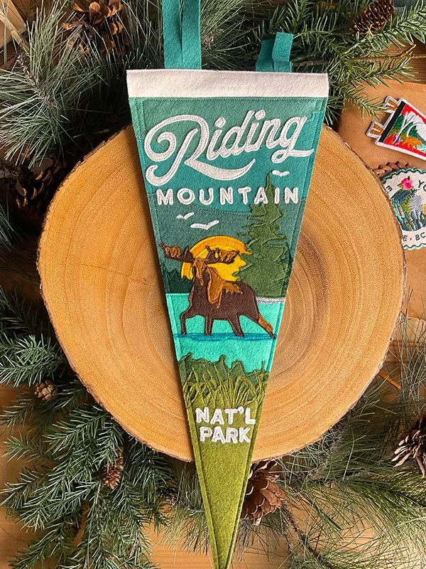 YohoCoDesignerPennantsRidingMountainNationalParkTealOmbre.jpg