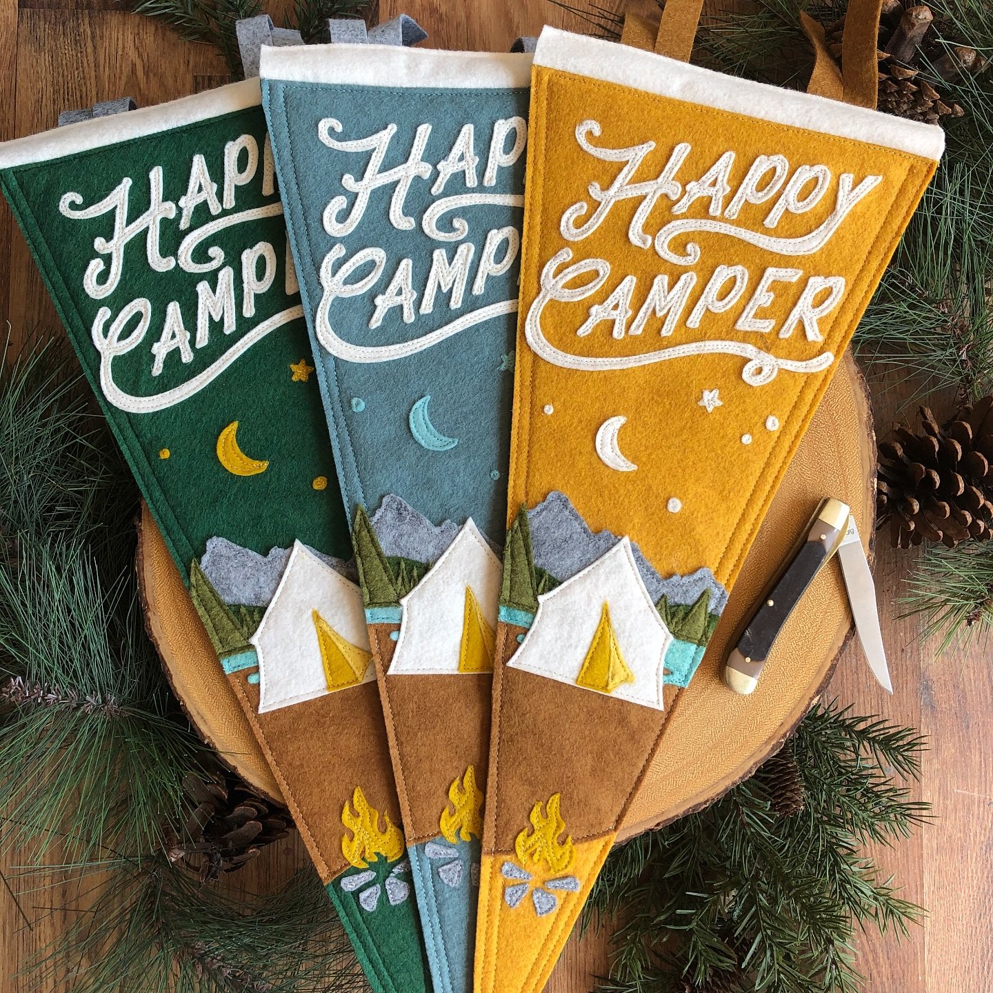 🏕️🌌🔥🚩

#yohoco #banff #banffnationalpark #pennants #pennant #happycamper #camplife #campvibes