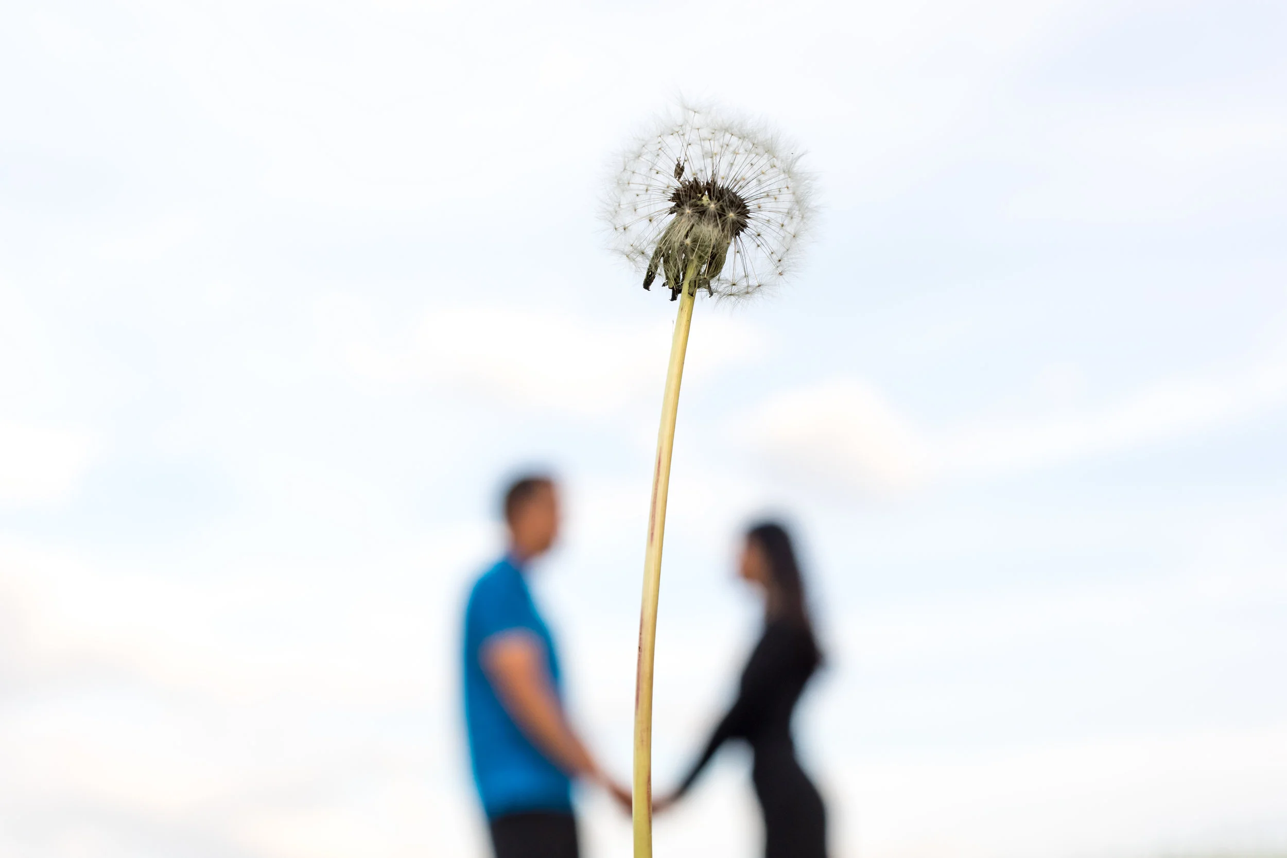 Martin McMahon Photography-4817.jpg