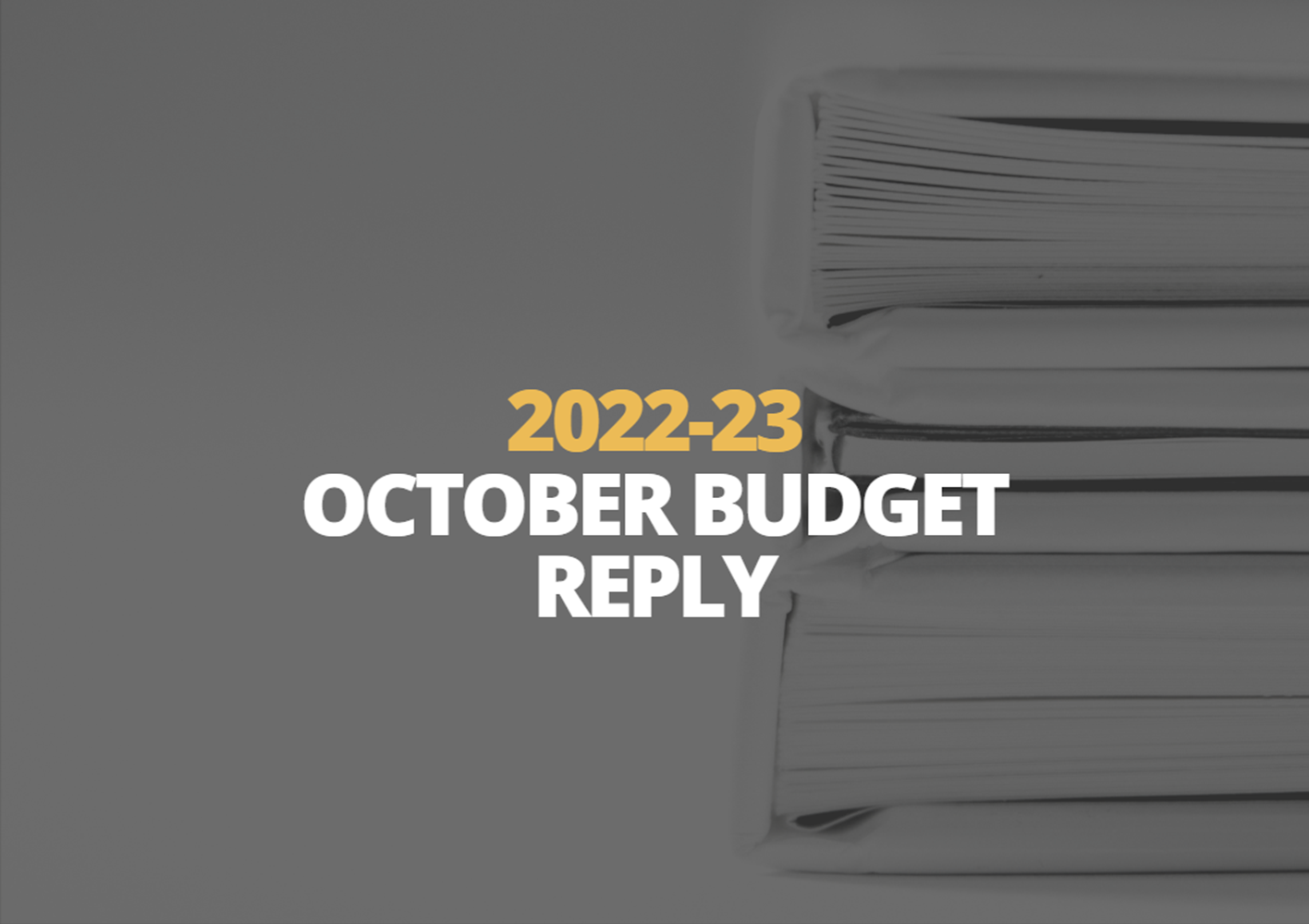 29 October | The Coalition's Budget Reply