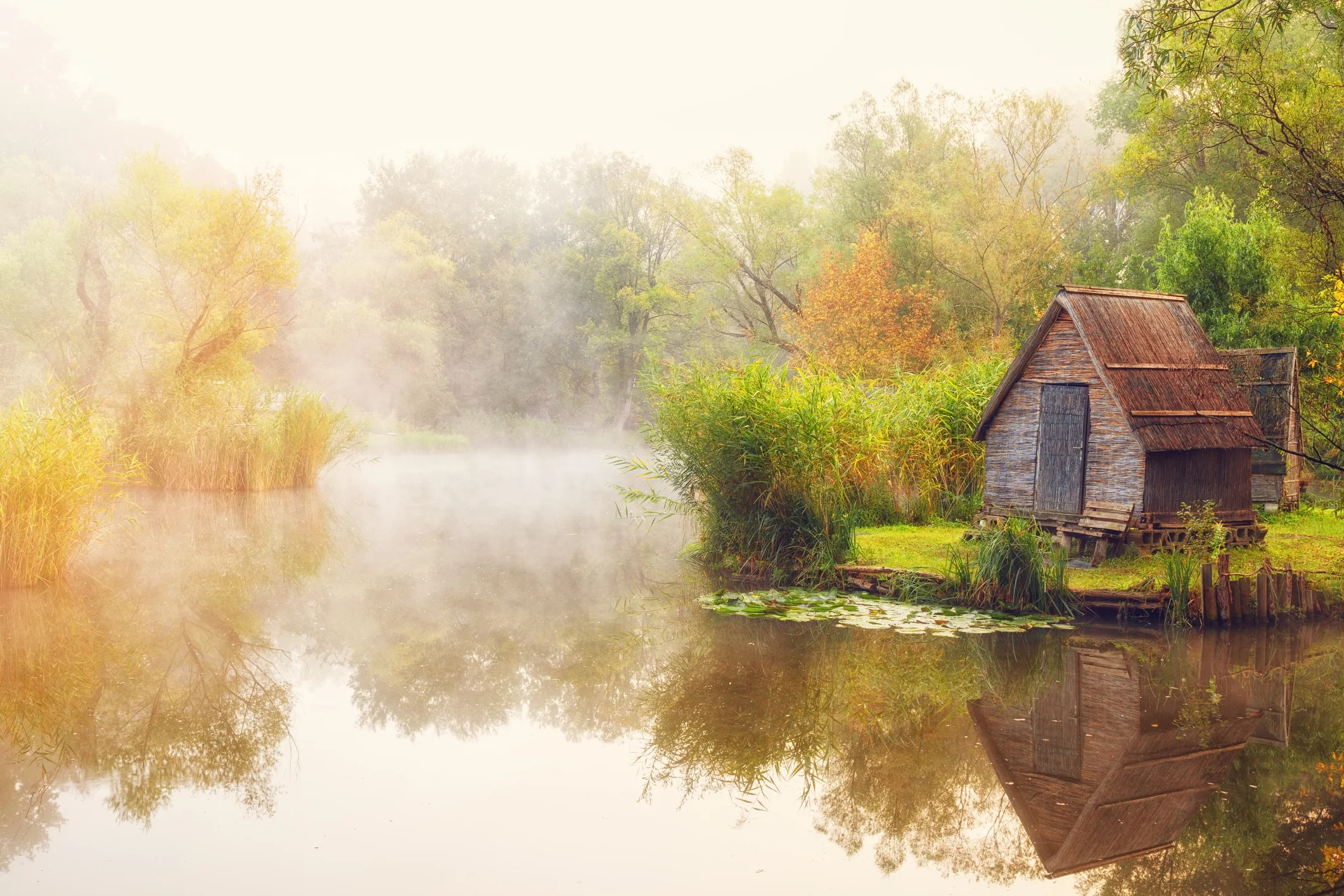 Photo by OliverLeicher/iStock / Getty Images