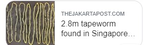 tapeworm.jpg