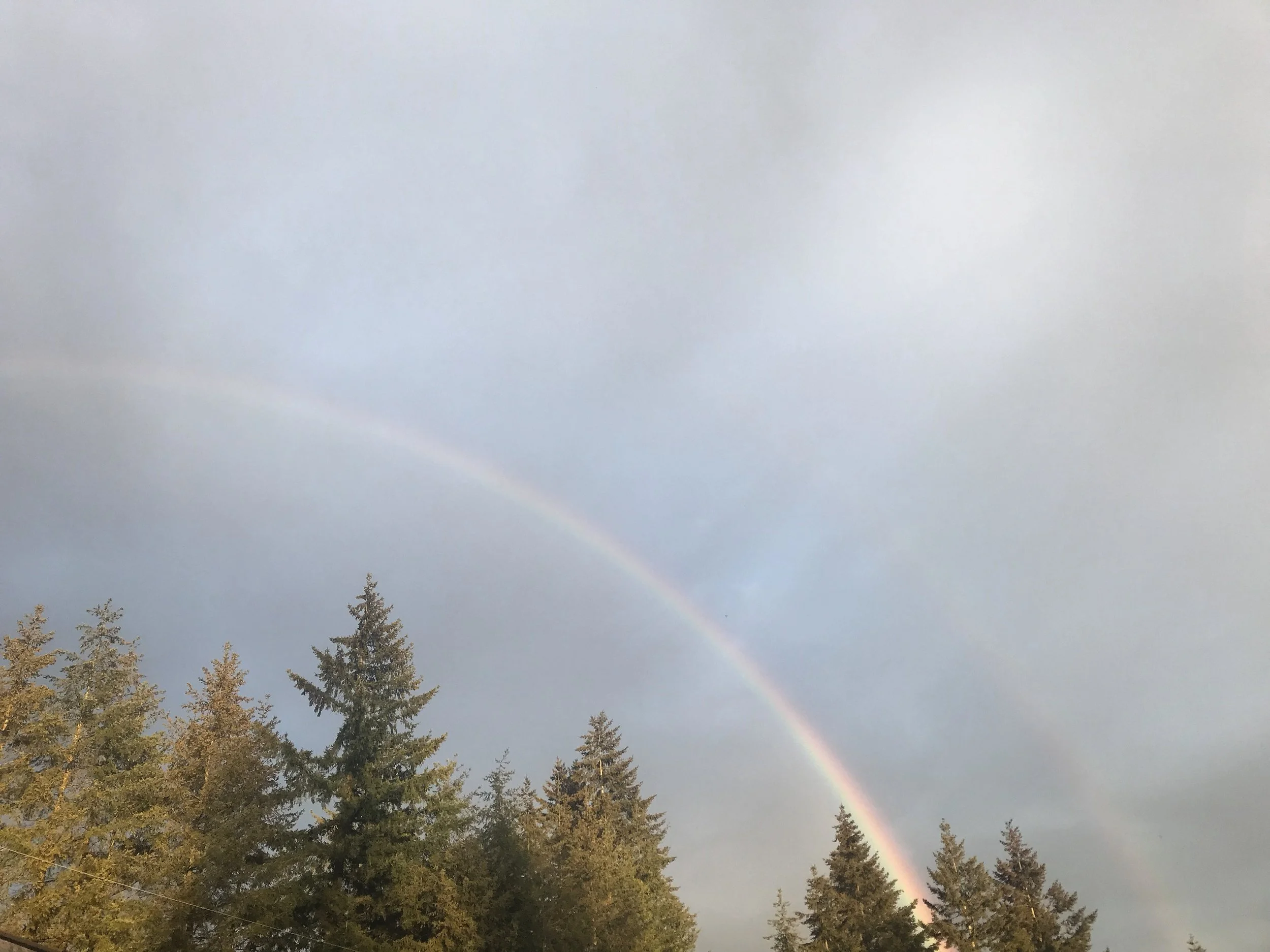 quit your day job, it's spring. 