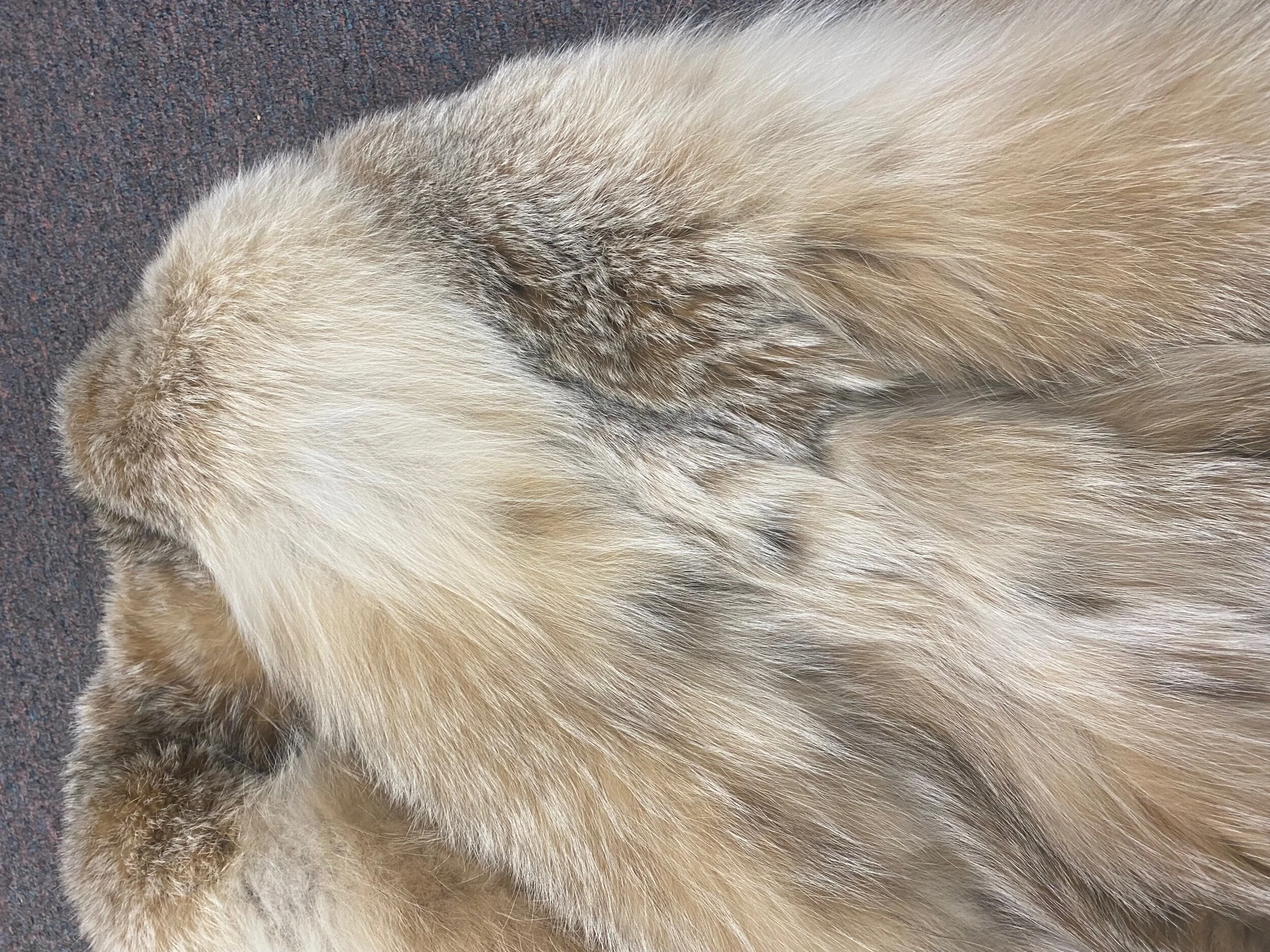 4C371DD0-A7DC-430C-9DC5-C3ABC82E2405