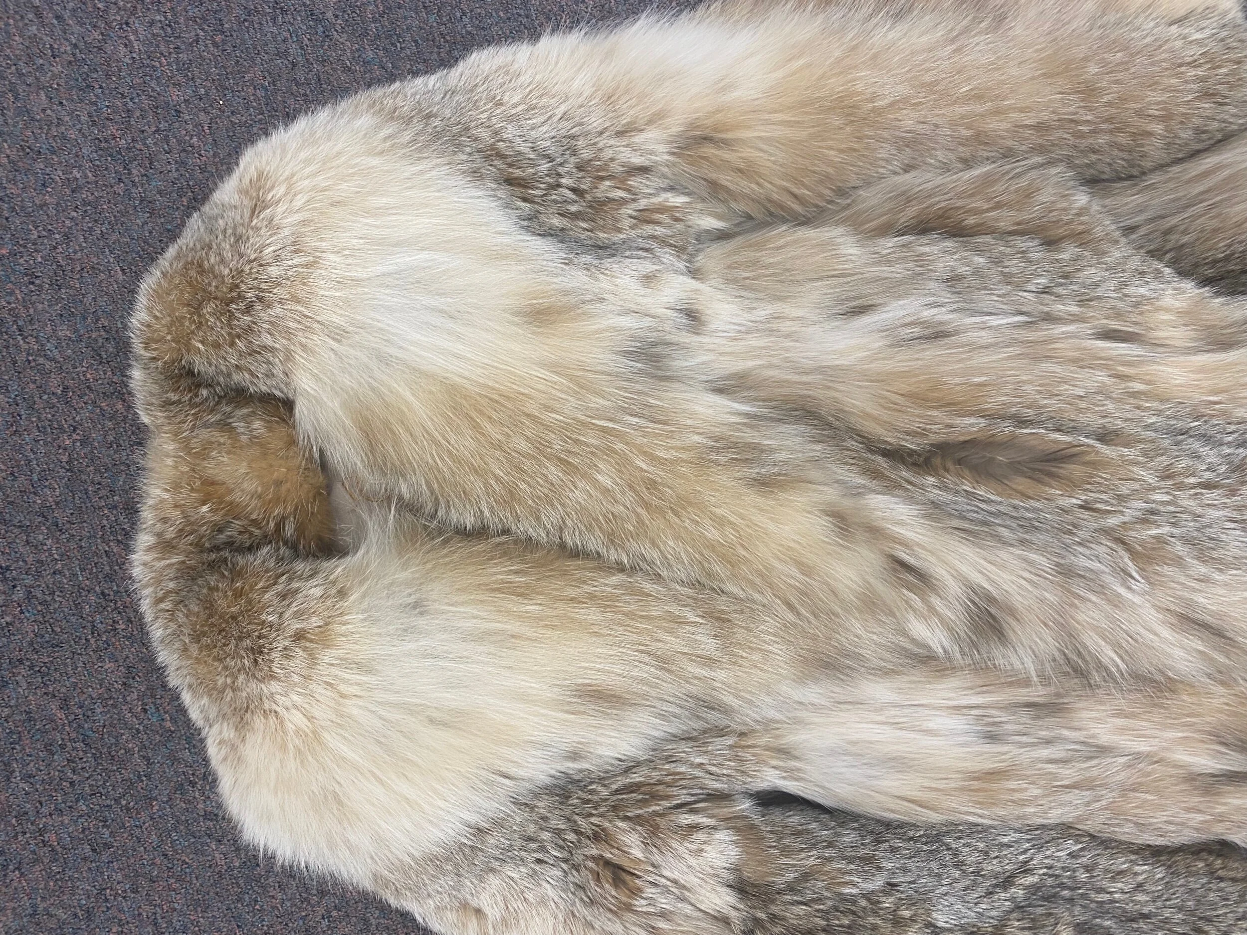 AA9A2F3E-7C16-4194-8F04-C4EF1260161D