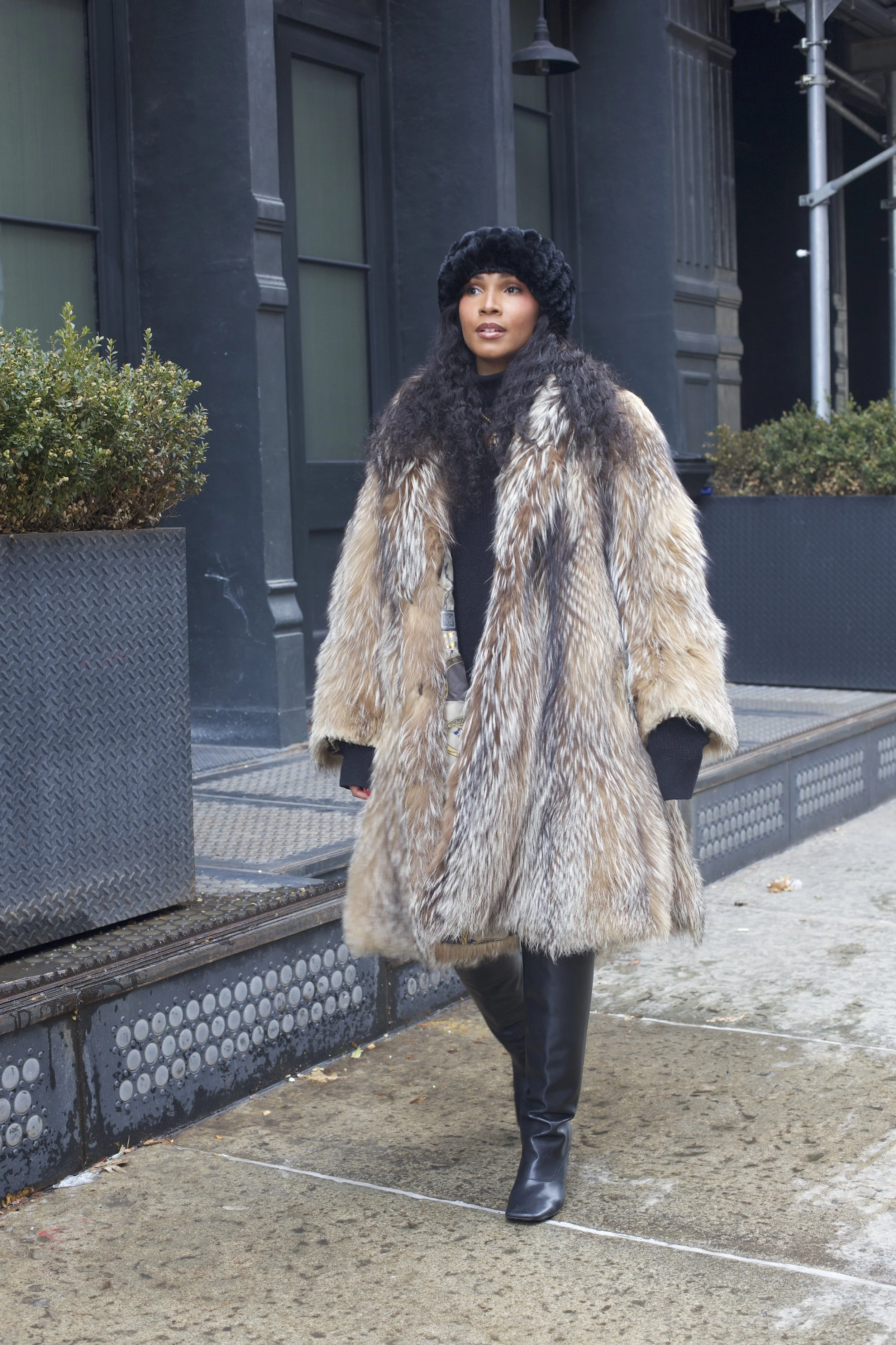 THE JASMINE CRYSTAL FOX