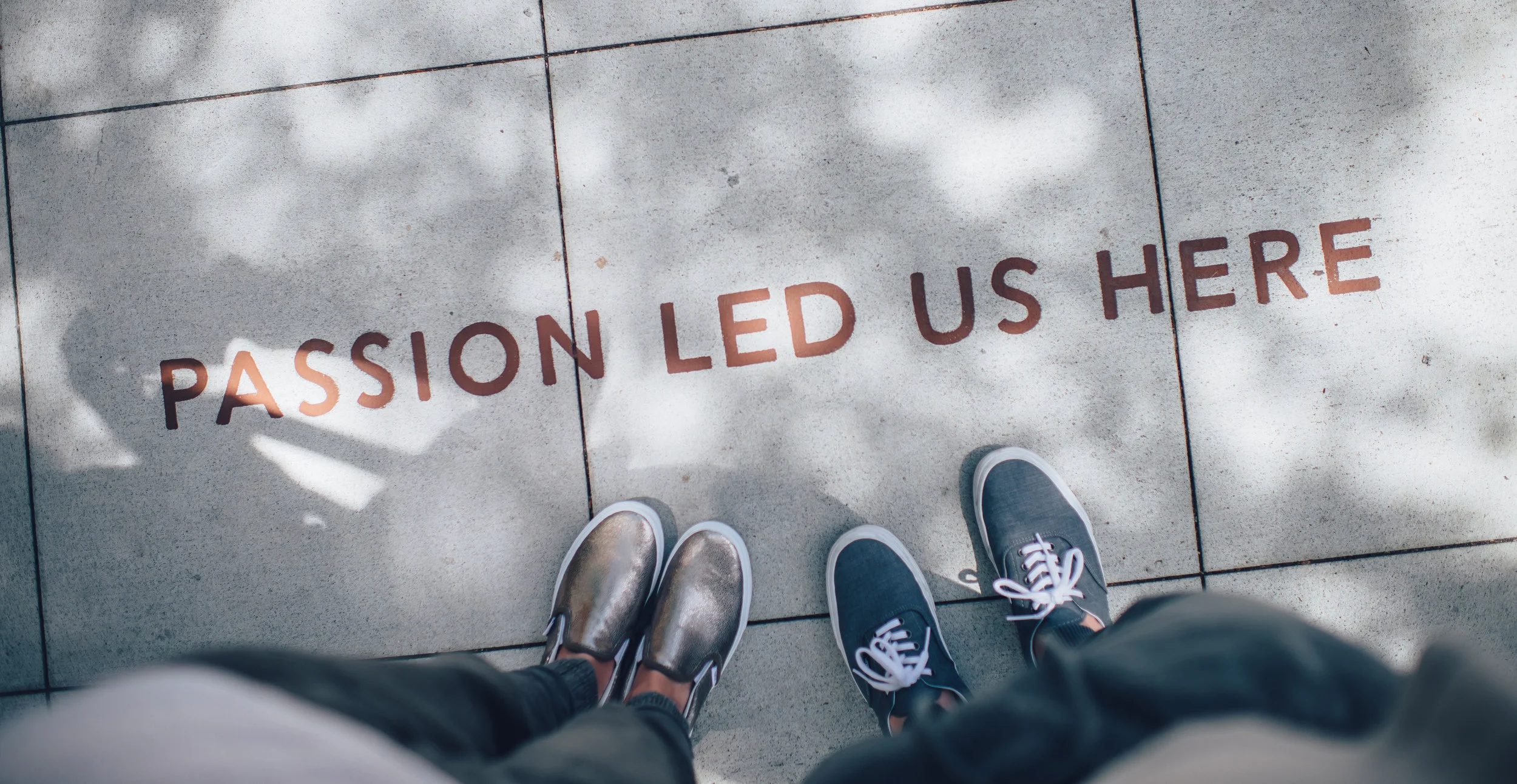 ian-schneider-66374-unsplash_croppedMedium.jpg