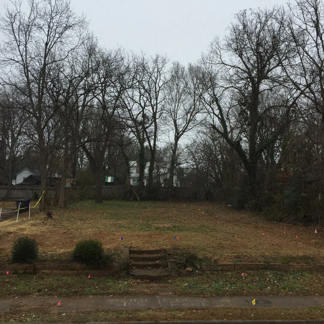 Unity Park.jpg