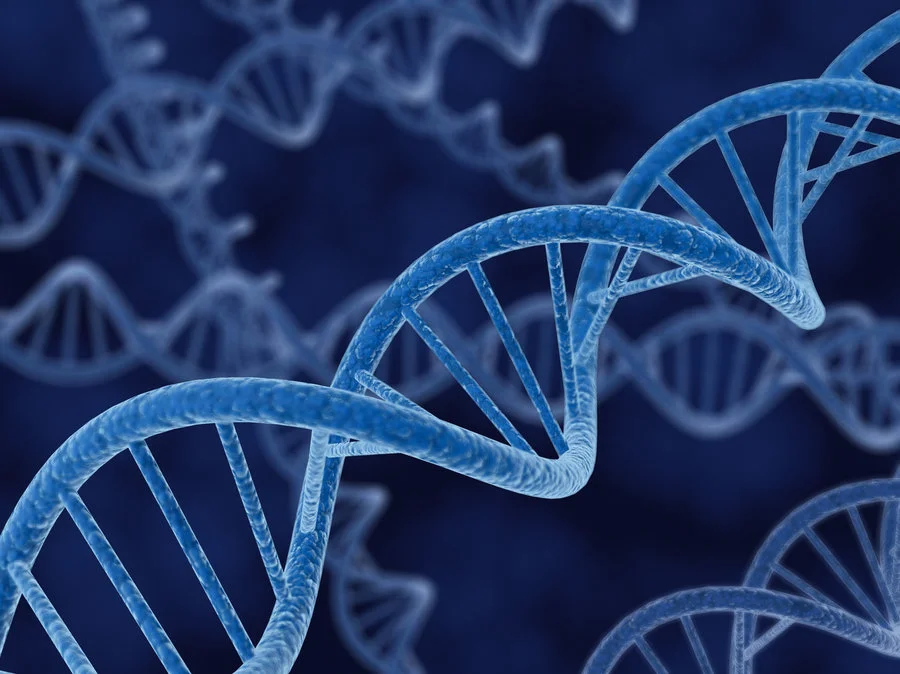 double-helix-6ee98b240791d8866a531cbf674dc9fdca988e49-s900-c85.jpg