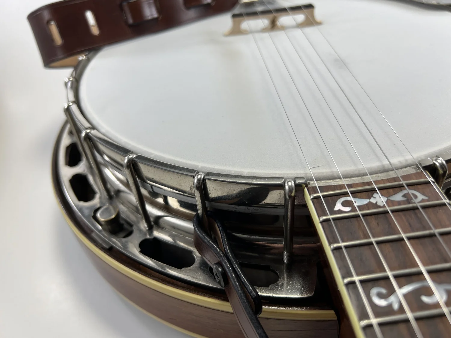 Fender