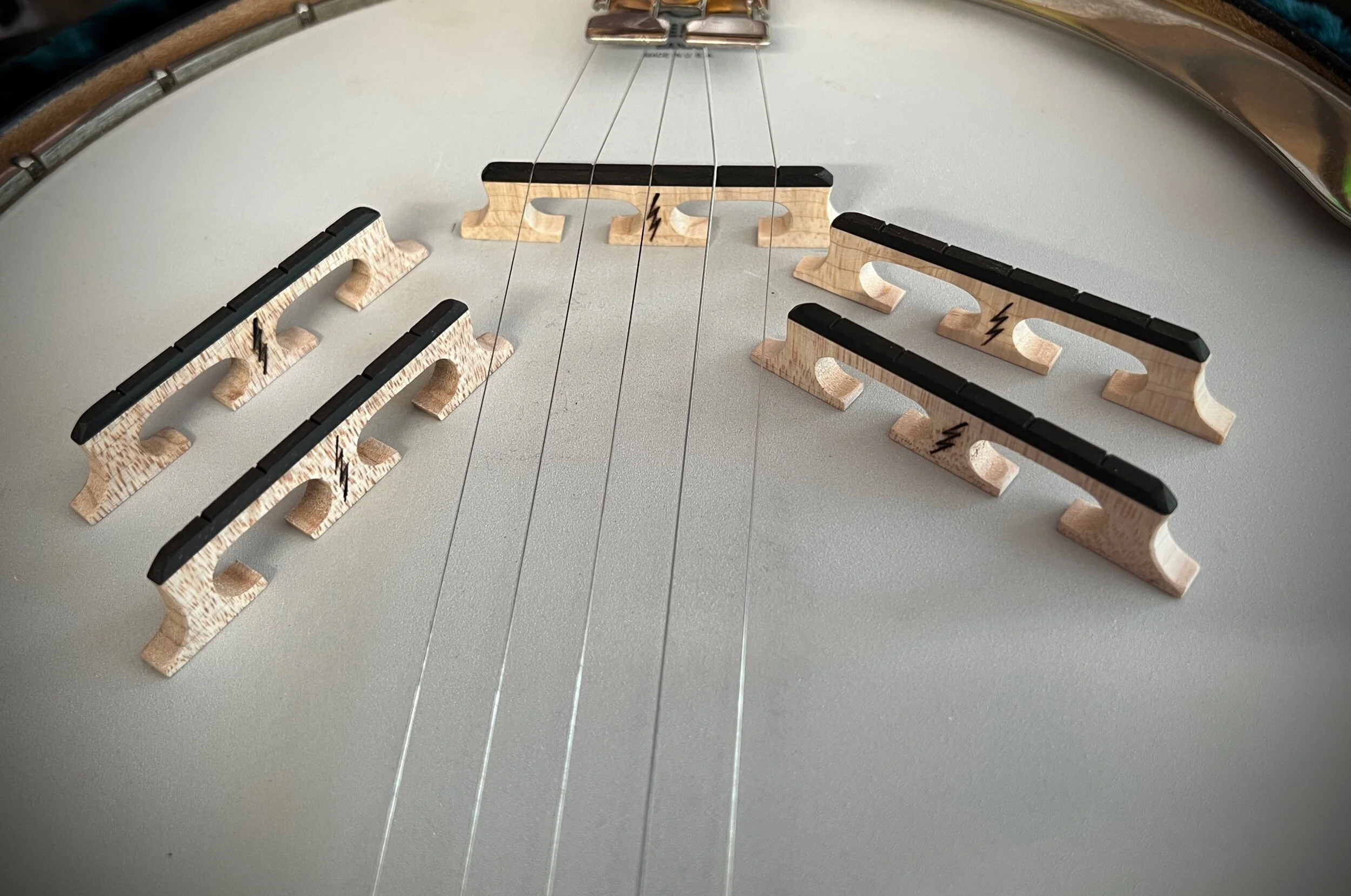 FCAF4351-3D7F-4DFB-98BD-69843165BD3B