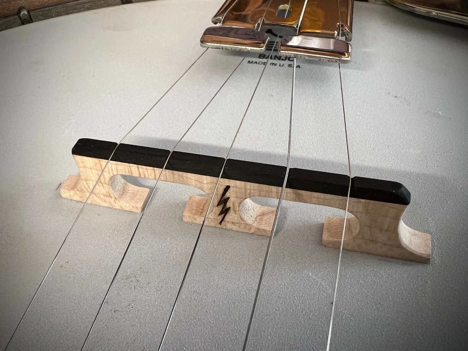 656 Bryan Hooper Banjo Bridge Bone Valley Co
