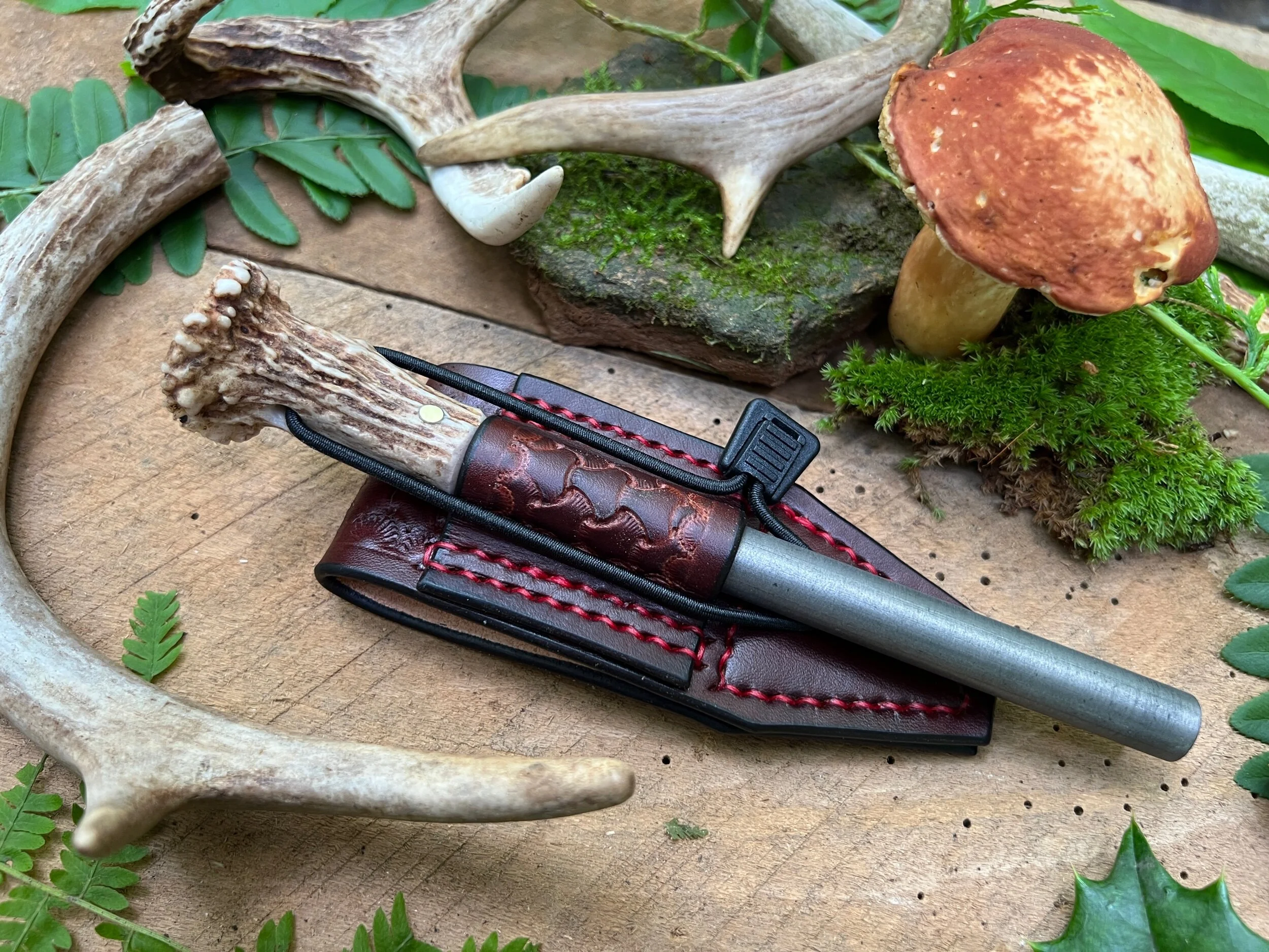 59D50166-8F6F-4139-AB79-3CB76DEAB29E