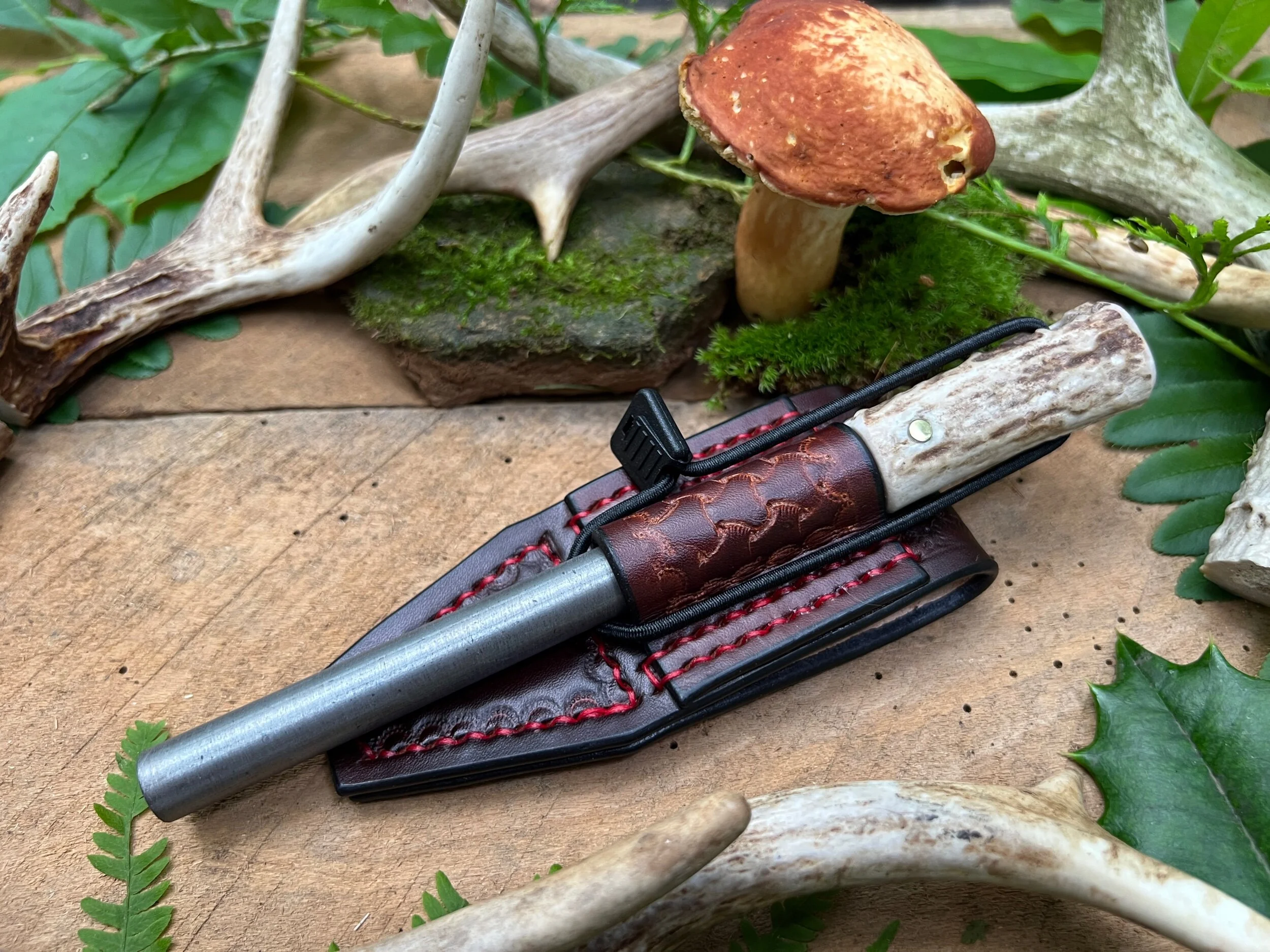 F5A8F34C-81C7-409E-B2CE-3F82AA8ADFB6