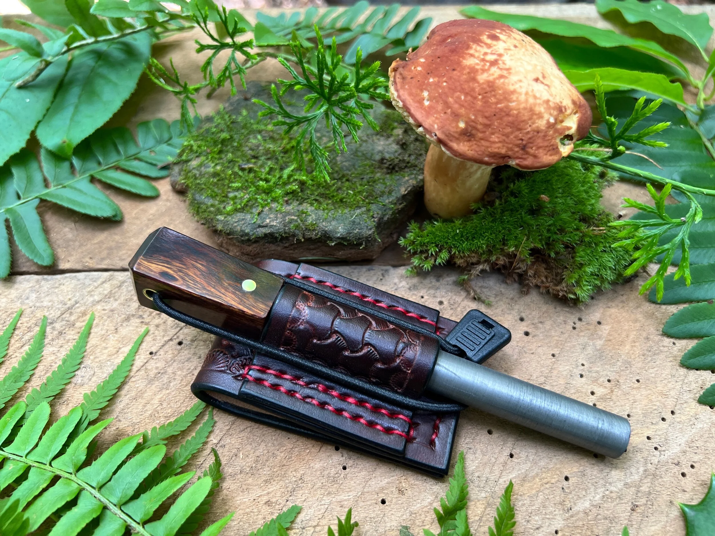 B5AE8941-E0D1-42D9-8F68-8AAFBDB55664