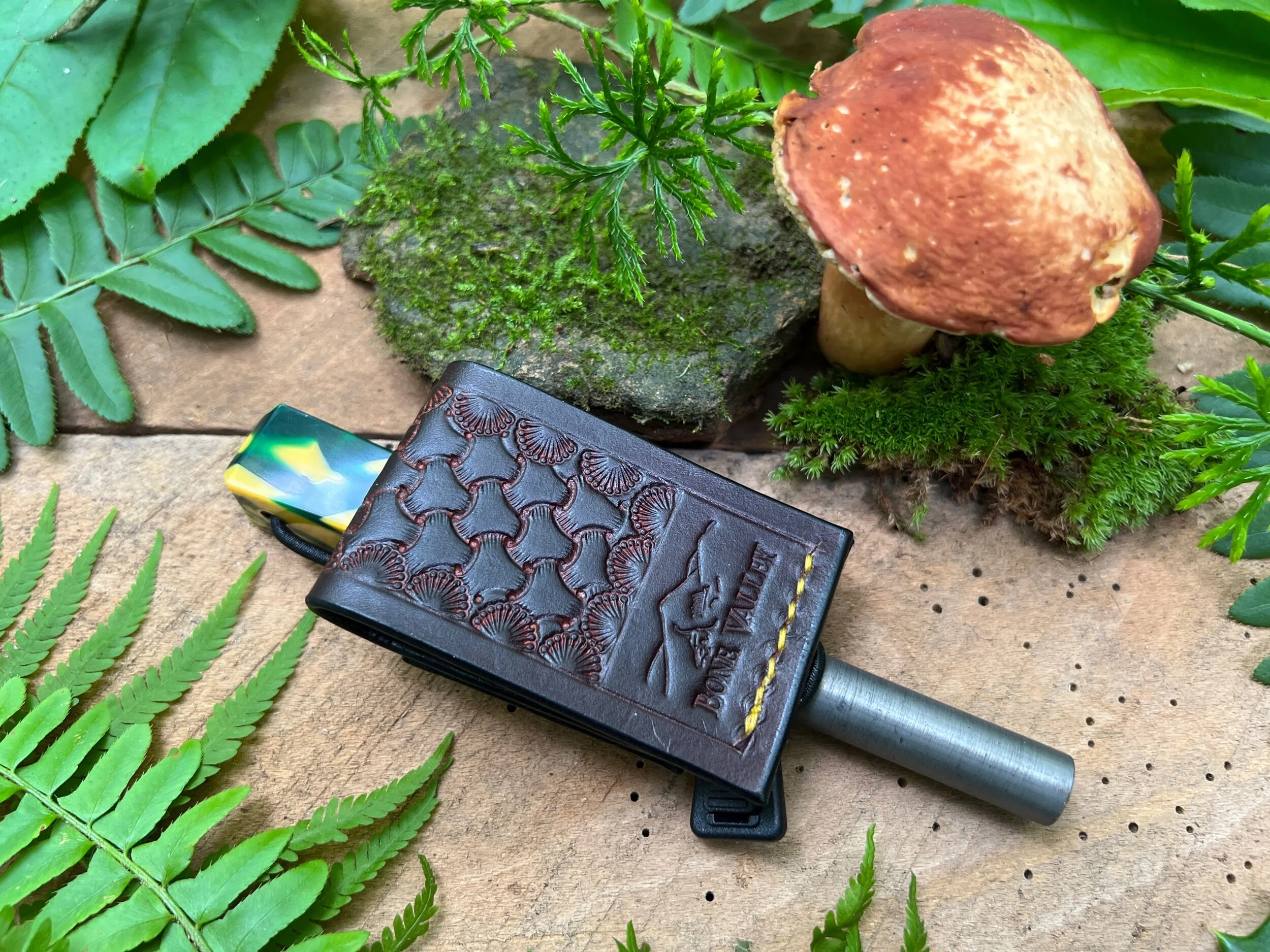 5221FE3F-B1A2-4C53-9ED7-AF7872D85D0D