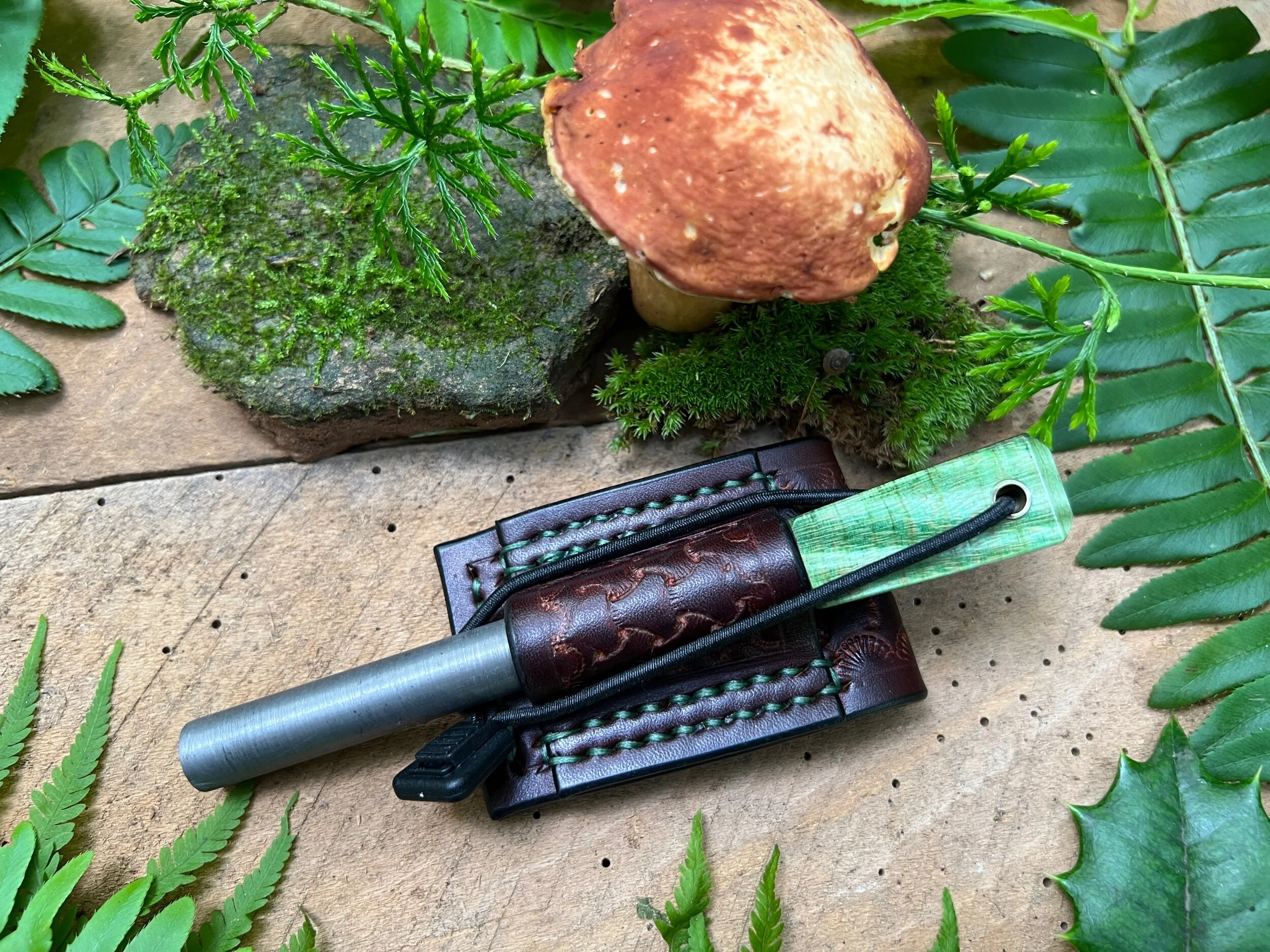 22424B01-A625-4120-A0E5-84B6F5736C12