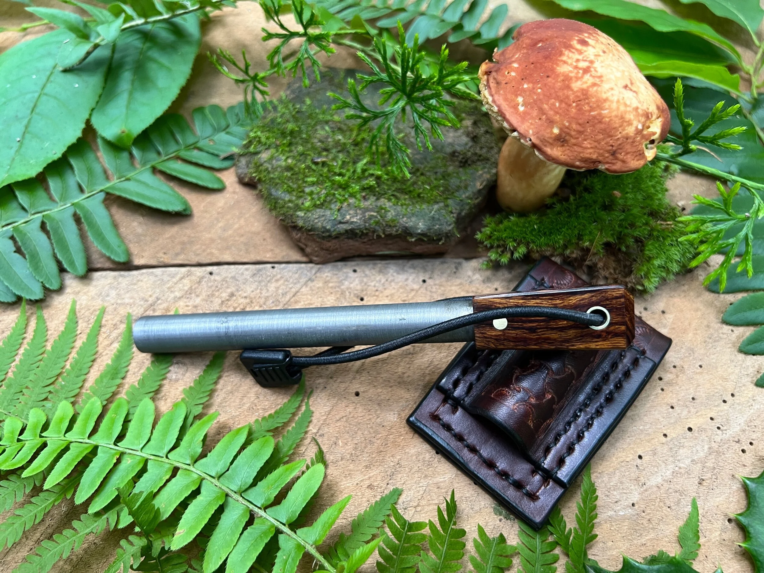 376388C3-9EA2-414F-BF21-DA230929A8A8