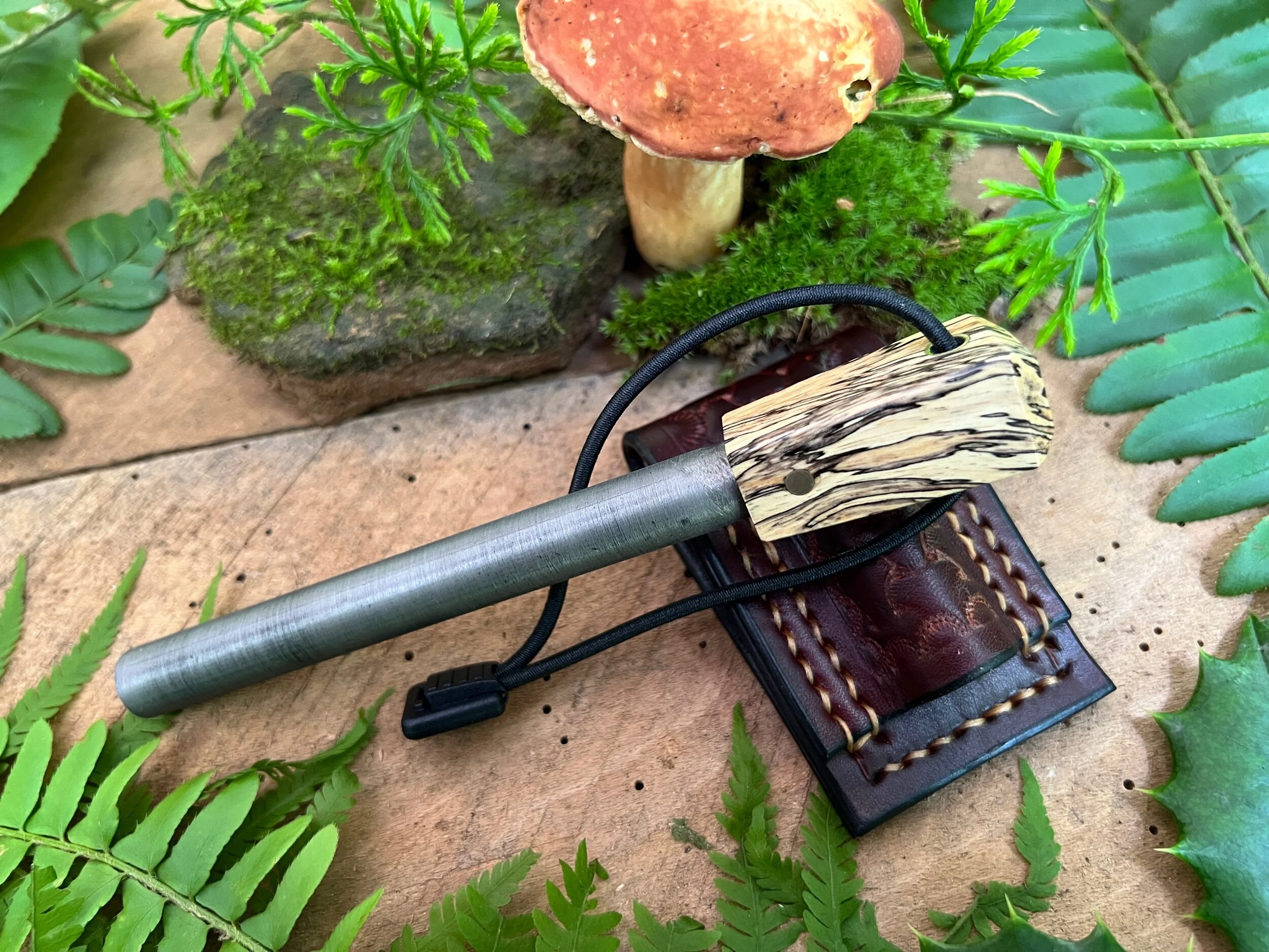 FC5A94FE-7C29-4D00-8430-A8B5FD14185F