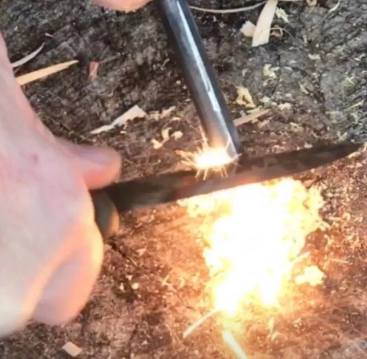 B181501A-F596-4A04-BC5F-EF8EEA2FA725