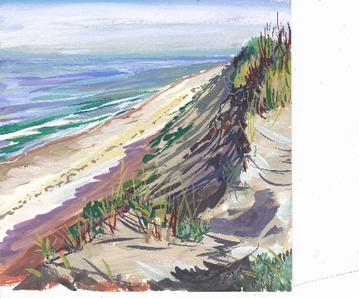 Newcomb Hollow Beach and National Seashore Truro, MA