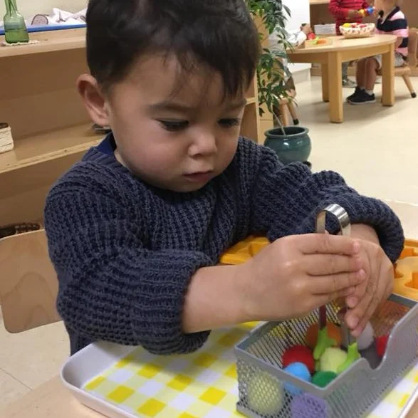 toddler3.jpg