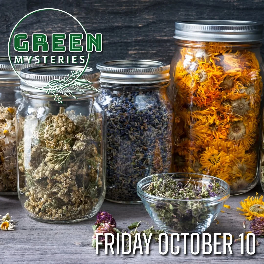 Tomorrow afternoon is this month's Green Mysteries class. 

𝗚𝗿𝗲𝗲𝗻 𝗠𝘆𝘀𝘁𝗲𝗿𝗶𝗲𝘀
𝗙𝗿𝗶𝗱𝗮𝘆, 𝗢𝗰𝘁𝗼𝗯𝗲𝗿 𝟭𝟬𝘁𝗵 𝗳𝗿𝗼𝗺 𝟮:𝟬𝟬𝗽𝗺 𝘁𝗼 𝟰:𝟬𝟬𝗽𝗺
$𝟯𝟱, 𝗶𝗻𝗰𝗹𝘂𝗱𝗶𝗻𝗴 𝗺𝗮𝘁𝗲𝗿𝗶𝗮𝗹𝘀

Join us for this month&rsquo;s Green M