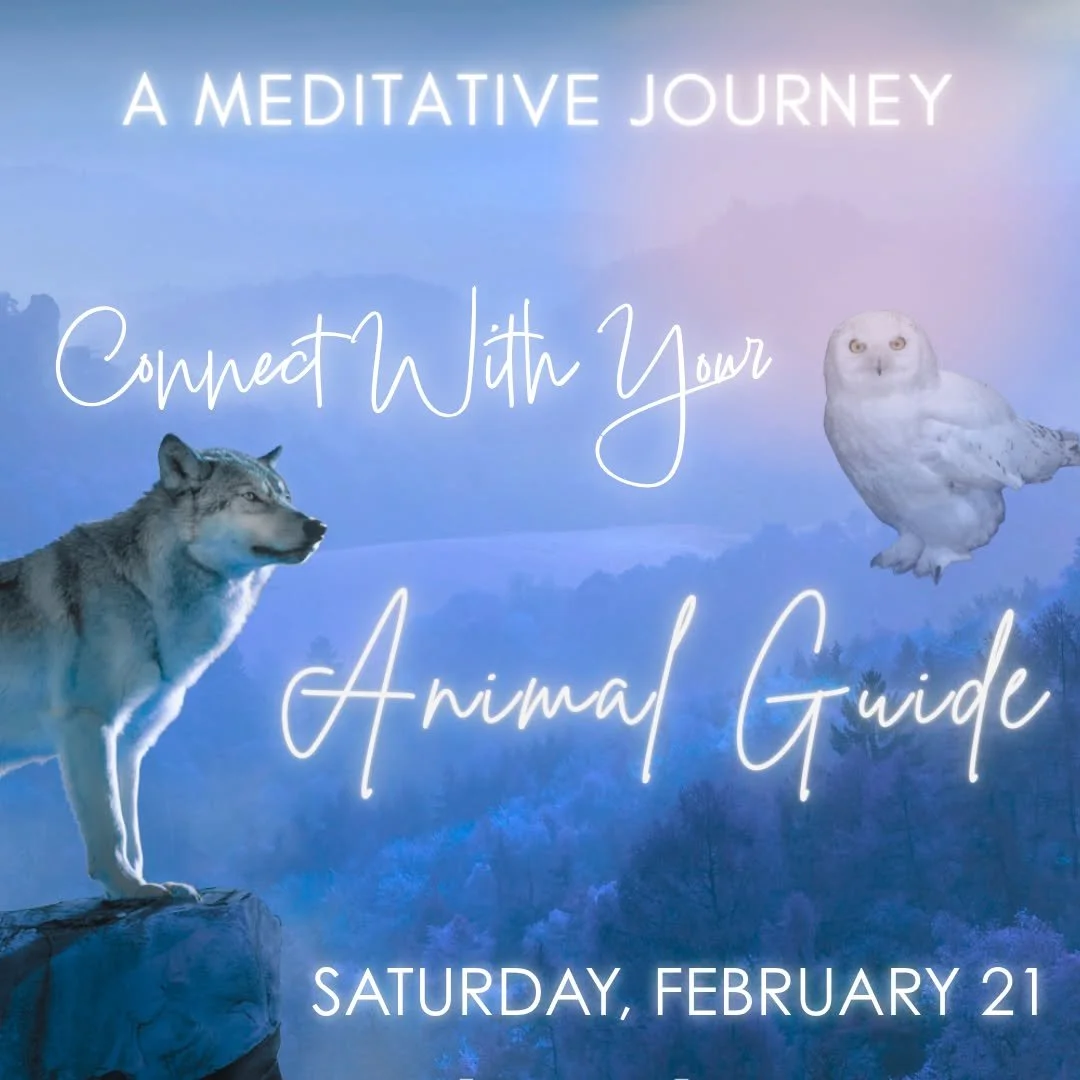 Join us on Saturday afternoon for a  guided meditation that weaves grounding, visualization, and energetic awareness to support a deep, intuitive meeting with an animal guide that may walk beside you.

𝗖𝗼𝗻𝗻𝗲𝗰𝘁 𝗪𝗶𝘁𝗵 𝗬𝗼𝘂𝗿 𝗔𝗻𝗶𝗺𝗮𝗹 𝗚