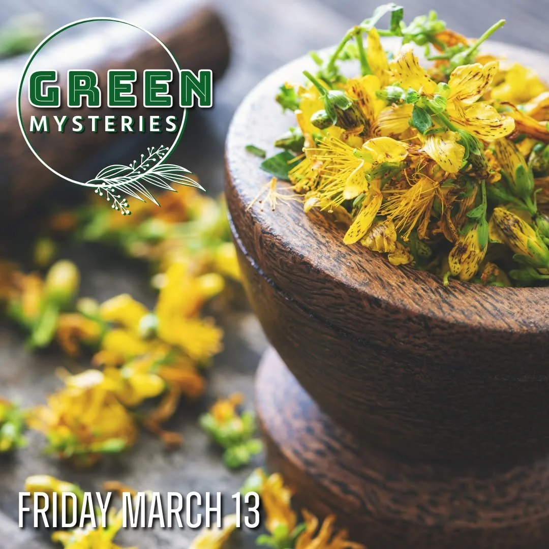 Join us tomorrow afternoon for The Green Mysteries! This monthly class is for anyone who shares an affinity or even just a budding interest in the magic and practical application of herbalism.

𝗚𝗿𝗲𝗲𝗻 𝗠𝘆𝘀𝘁𝗲𝗿𝗶𝗲𝘀
𝗙𝗿𝗶𝗱𝗮𝘆, 𝗠𝗮𝗿𝗰𝗵 ?