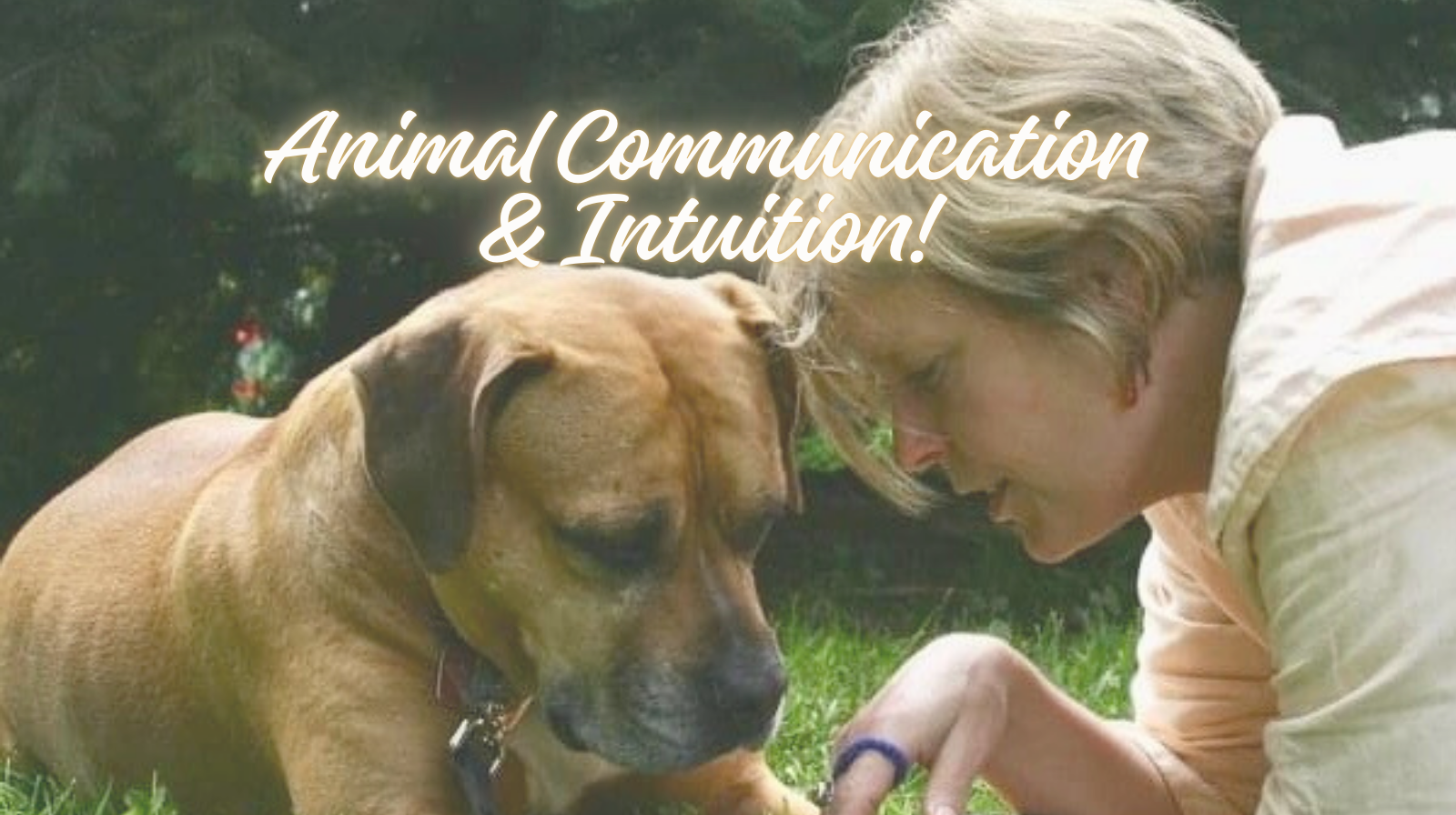 Animal Communication & Intuition