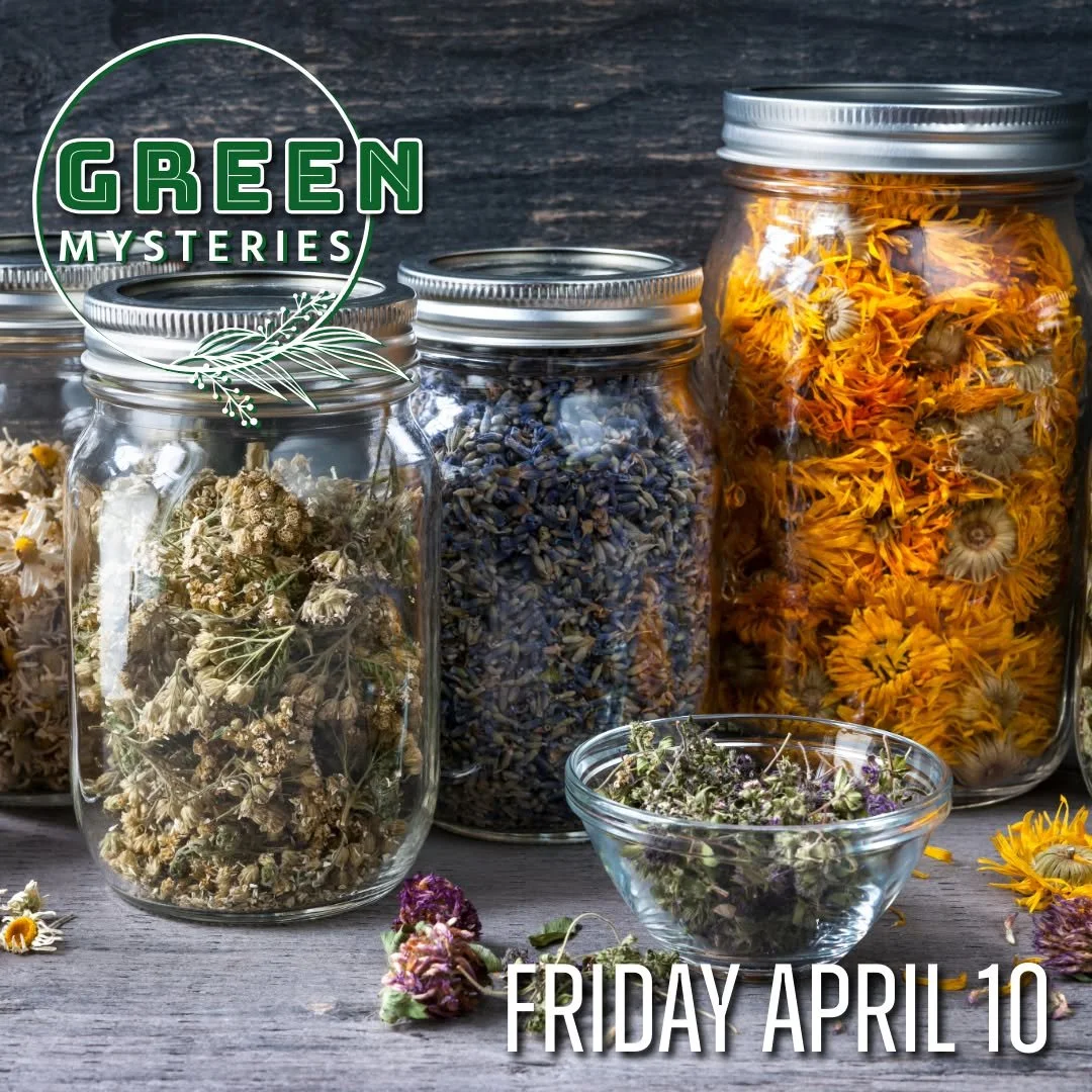 Join Willow and Maeven tomorrow afternoon for this month's Green Mysteries. 

𝗚𝗿𝗲𝗲𝗻 𝗠𝘆𝘀𝘁𝗲𝗿𝗶𝗲𝘀
𝗙𝗿𝗶𝗱𝗮𝘆, 𝗔𝗽𝗿𝗶𝗹 𝟭𝟬𝘁𝗵 𝗳𝗿𝗼𝗺 𝟮:𝟬𝟬𝗽𝗺 𝘁𝗼 𝟰:𝟬𝟬𝗽𝗺
$𝟯𝟱, 𝗶𝗻𝗰𝗹𝘂𝗱𝗶𝗻𝗴 𝗺𝗮𝘁𝗲𝗿𝗶𝗮𝗹𝘀

Whether you have been wo