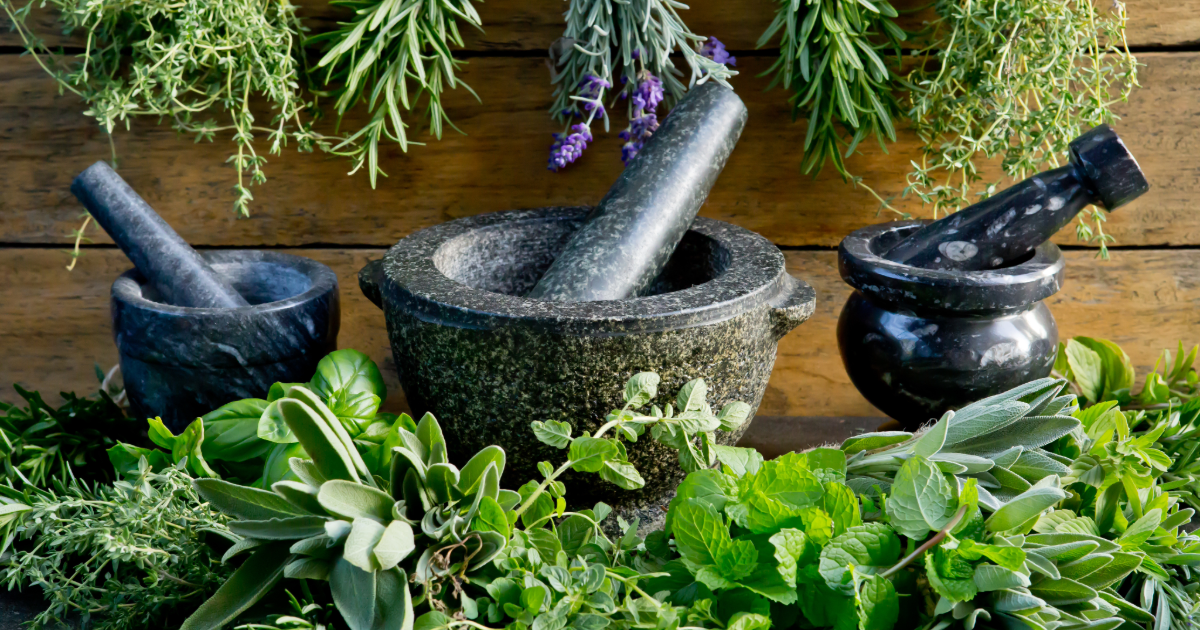 Natures Tools: Wortcutting, Trees, and the Secret Language of Weather