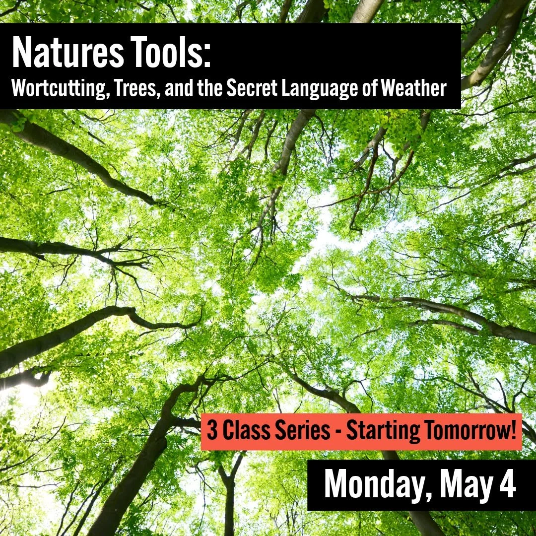 The next class in our 2026 Magical Learning Series starts tomorrow Monday, May 4th! Make sure to sign up today to save your space! 

𝗡𝗮𝘁𝘂𝗿𝗲𝘀 𝗧𝗼𝗼𝗹𝘀: 𝗪𝗼𝗿𝘁𝗰𝘂𝘁𝘁𝗶𝗻𝗴, 𝗧𝗿𝗲𝗲𝘀, 𝗮𝗻𝗱 𝘁𝗵𝗲 𝗦𝗲𝗰𝗿𝗲𝘁 𝗟𝗮𝗻𝗴𝘂𝗮𝗴𝗲 𝗼𝗳 𝗪𝗲?