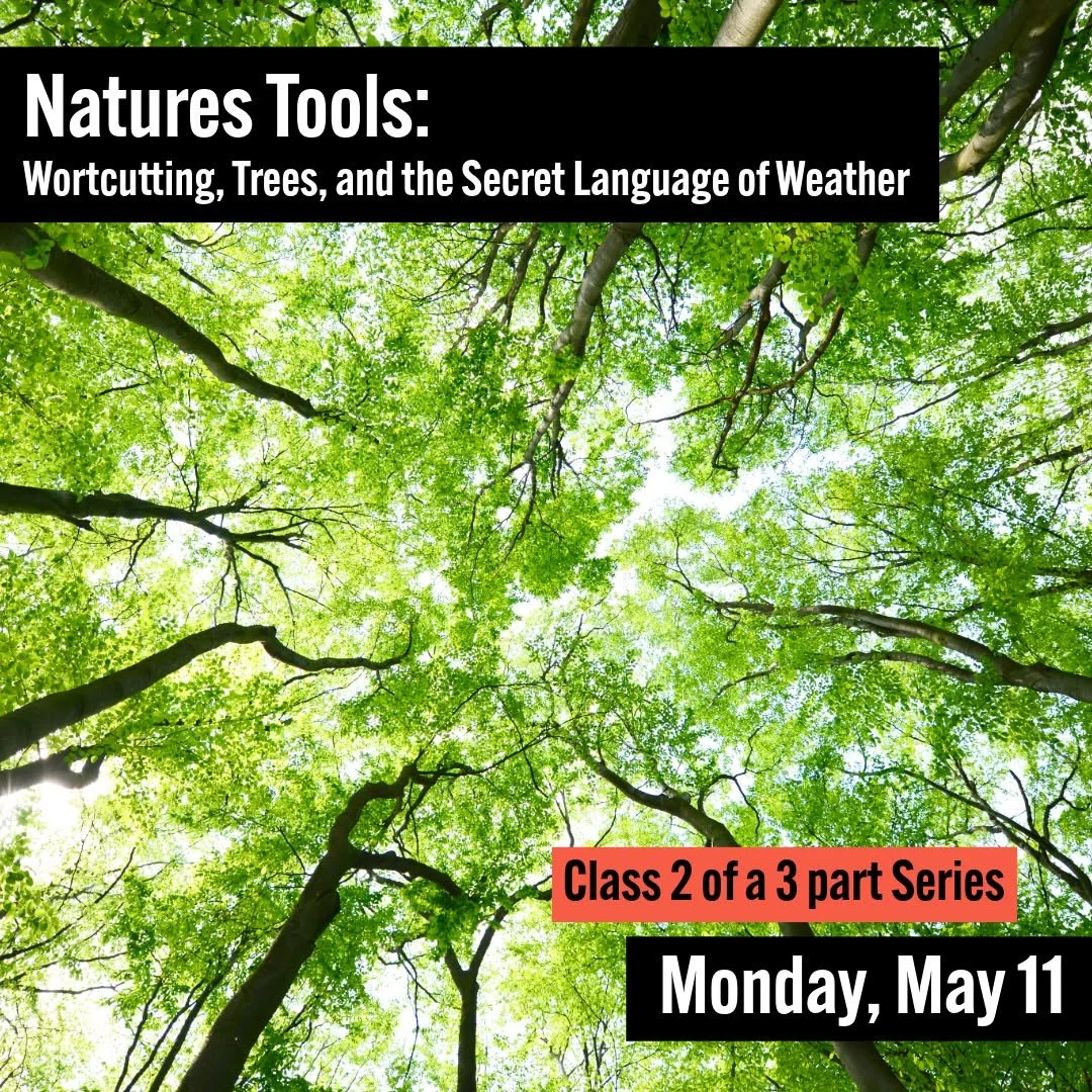 Class two of our three part series is tomorrow evening. 

𝗡𝗮𝘁𝘂𝗿𝗲𝘀 𝗧𝗼𝗼𝗹𝘀: 𝗪𝗼𝗿𝘁𝗰𝘂𝘁𝘁𝗶𝗻𝗴, 𝗧𝗿𝗲𝗲𝘀, 𝗮𝗻𝗱 𝘁𝗵𝗲 𝗦𝗲𝗰𝗿𝗲𝘁 𝗟𝗮𝗻𝗴𝘂𝗮𝗴𝗲 𝗼𝗳 𝗪𝗲𝗮𝘁𝗵𝗲𝗿
𝟯 𝗖𝗹𝗮𝘀𝘀 𝗦𝗲𝗿𝗶𝗲𝘀 - 𝗠𝗼𝗻𝗱𝗮𝘆, 𝗠𝗮𝘆 𝟰, 𝟭𝟭, 𝗮𝗻?