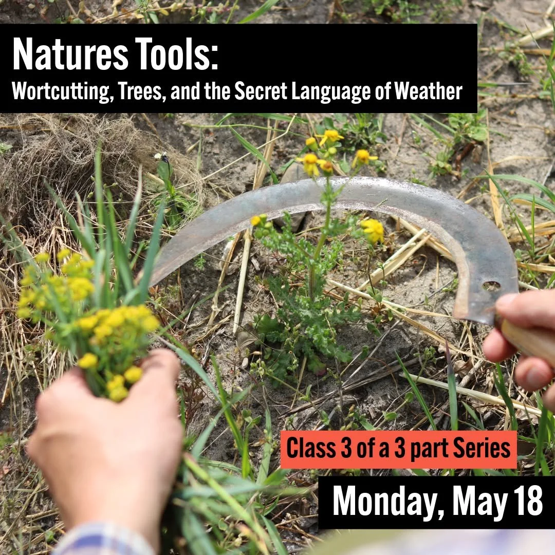 The final class of our three part series is tomorrow evening.

𝗡𝗮𝘁𝘂𝗿𝗲𝘀 𝗧𝗼𝗼𝗹𝘀: 𝗪𝗼𝗿𝘁𝗰𝘂𝘁𝘁𝗶𝗻𝗴, 𝗧𝗿𝗲𝗲𝘀, 𝗮𝗻𝗱 𝘁𝗵𝗲 𝗦𝗲𝗰𝗿𝗲𝘁 𝗟𝗮𝗻𝗴𝘂𝗮𝗴𝗲 𝗼𝗳 𝗪𝗲𝗮𝘁𝗵𝗲𝗿
𝟯 𝗖𝗹𝗮𝘀𝘀 𝗦𝗲𝗿𝗶𝗲𝘀 - 𝗠𝗼𝗻𝗱𝗮𝘆, 𝗠𝗮𝘆 𝟰, 𝟭𝟭, 