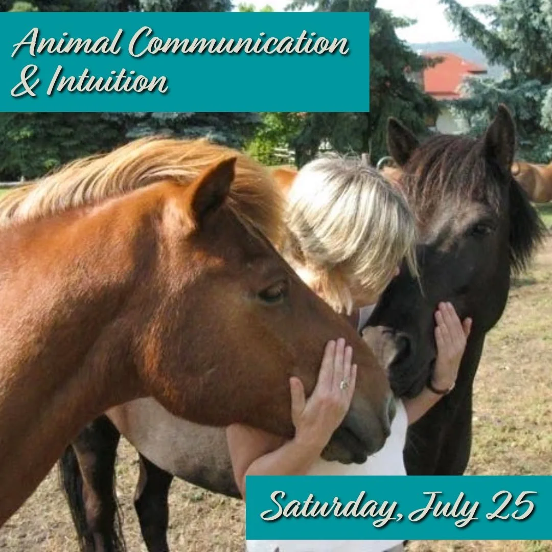 In this experiential introductory animal communication class, you&rsquo;ll explore how animals communicate through thoughts, images, emotions, and body sensations, and how humans can learn to perceive these subtle channels. 

𝗔𝗻𝗶𝗺𝗮𝗹 𝗖𝗼𝗺𝗺𝘂?
